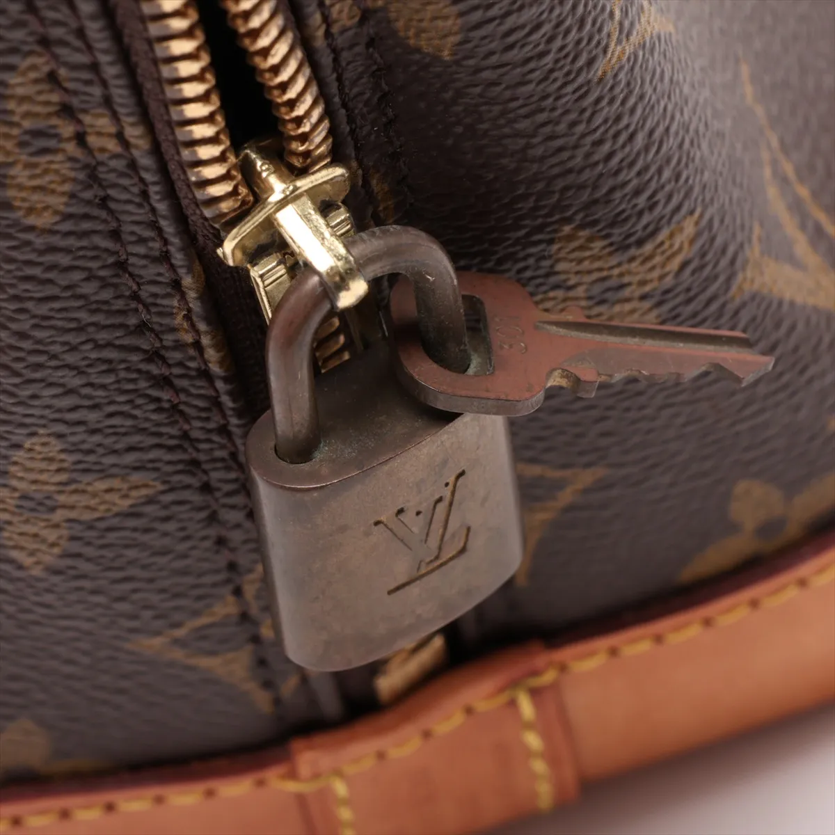 Monogram Alma M51130 VI1925 Brown — view 10