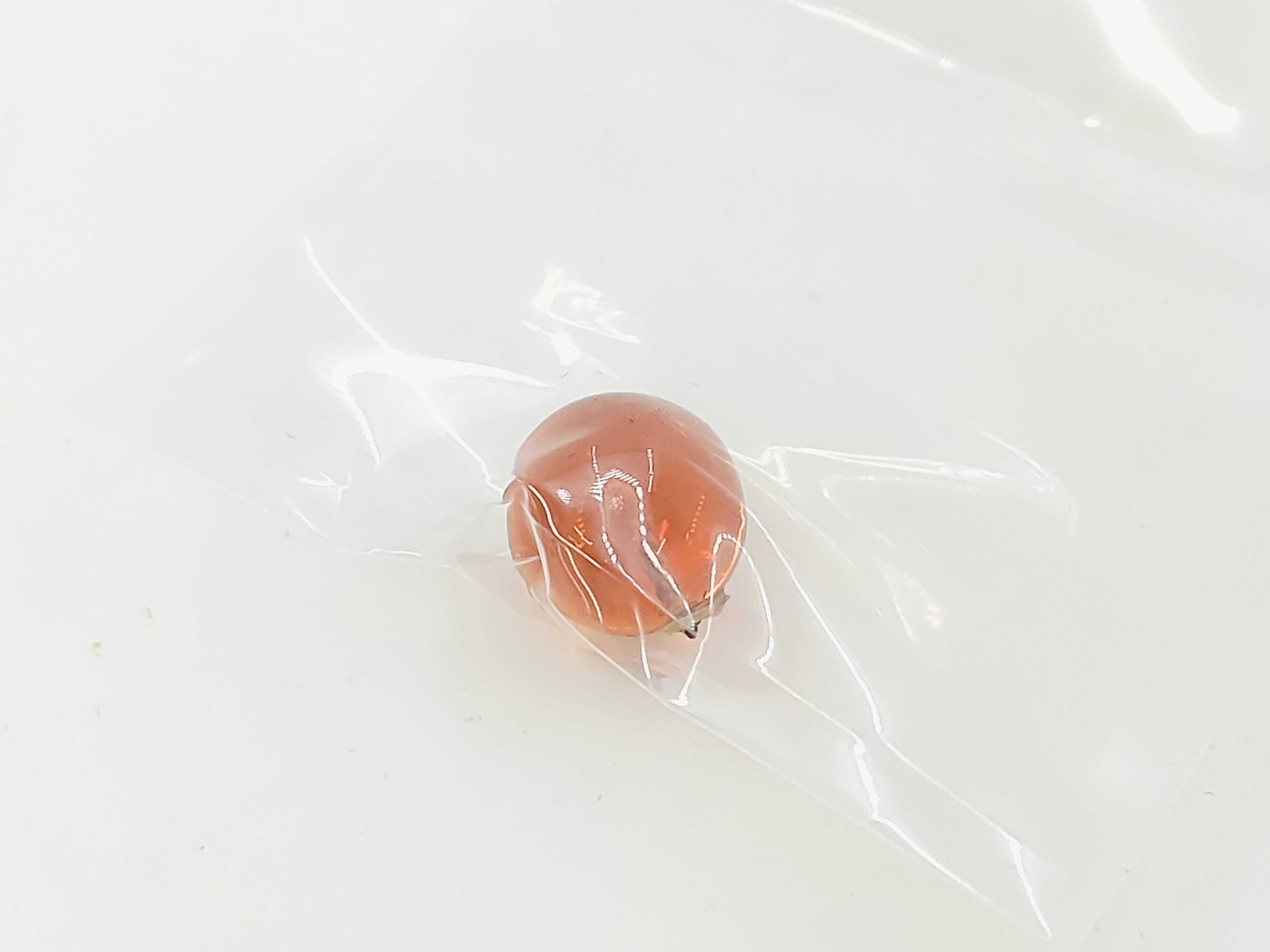 Gripoix Multi BR Brooch — view 6