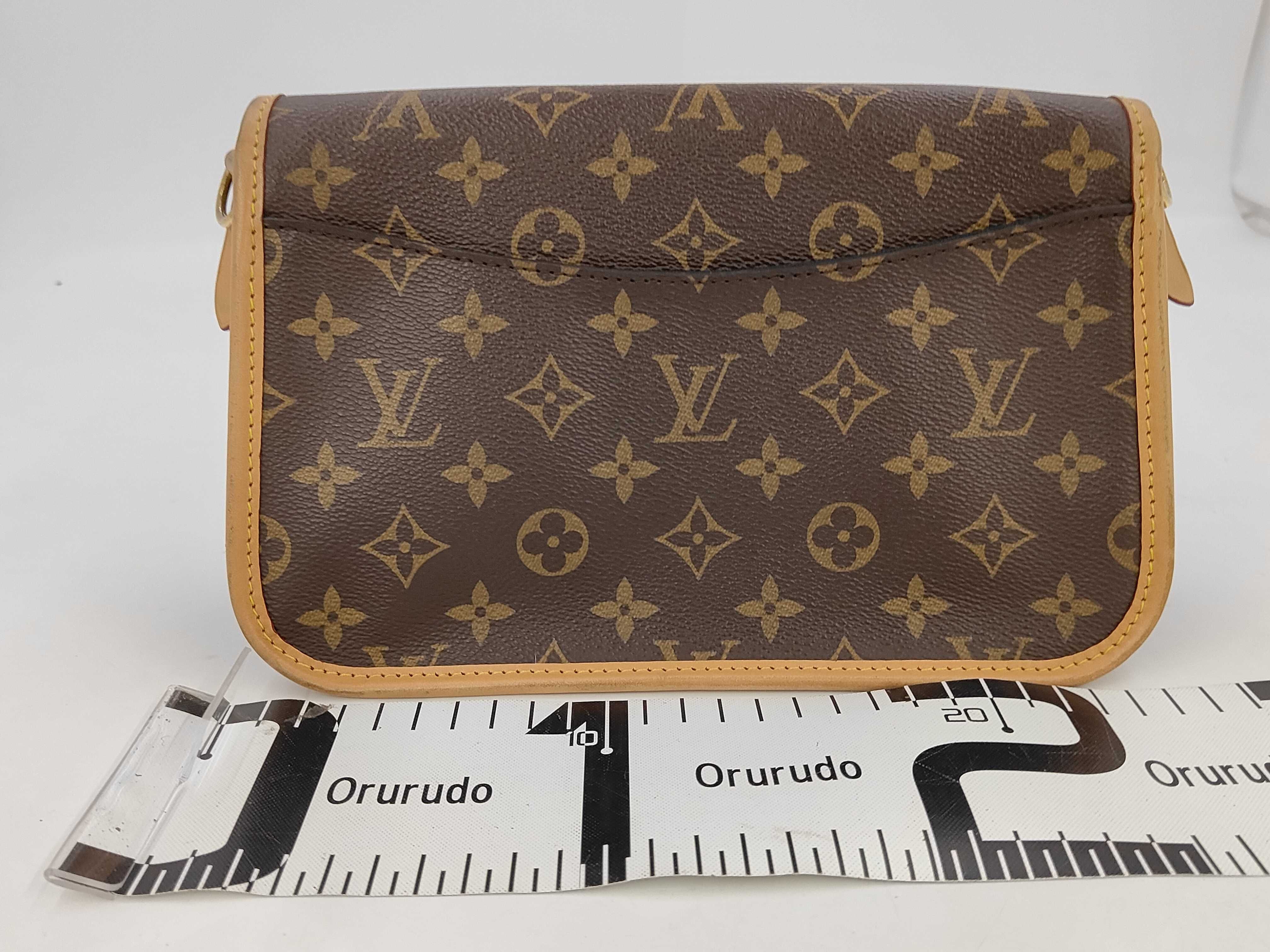 LV Louis Vuitton Monogram Diane Crossbody Bag Shoulder Bag — view 2
