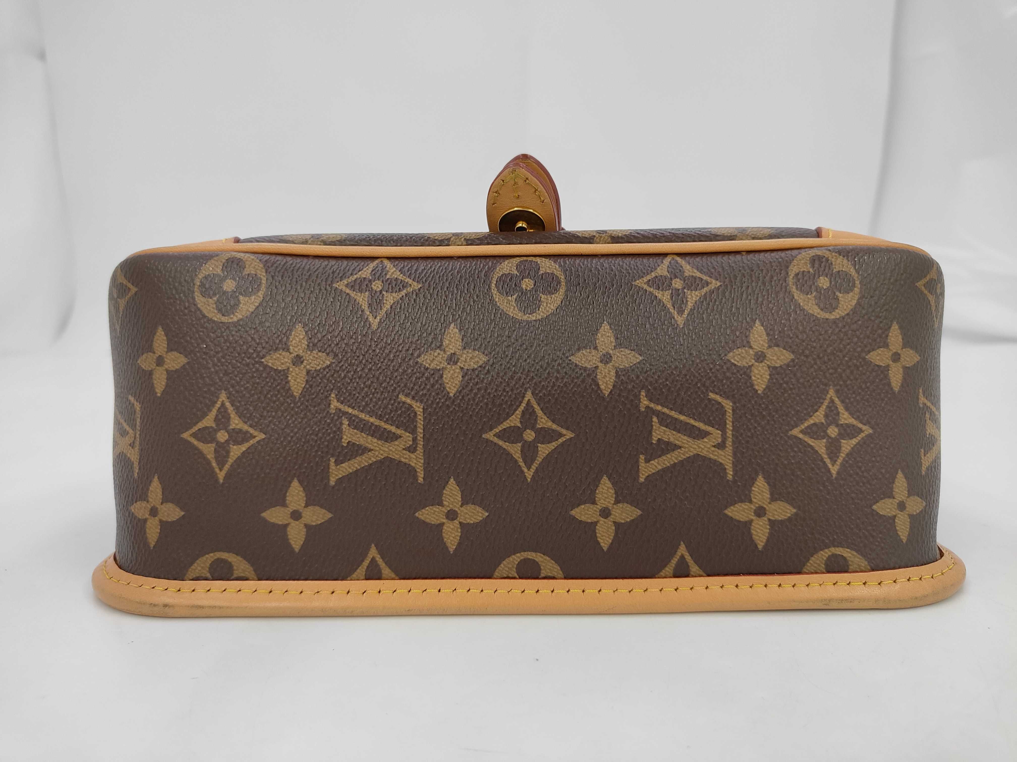 LV Louis Vuitton Monogram Diane Crossbody Bag Shoulder Bag — view 3