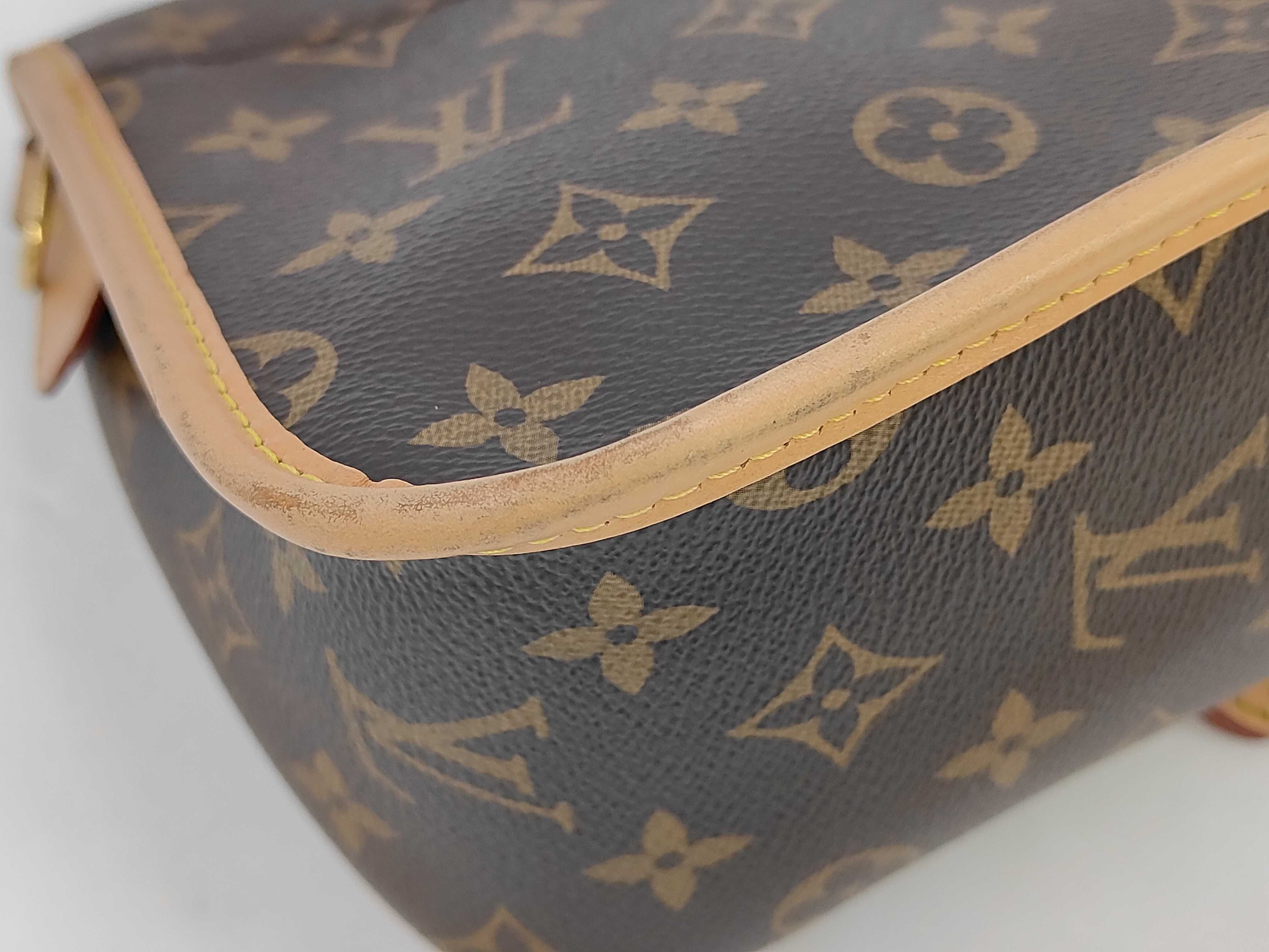 LV Louis Vuitton Monogram Diane Crossbody Bag Shoulder Bag — view 4