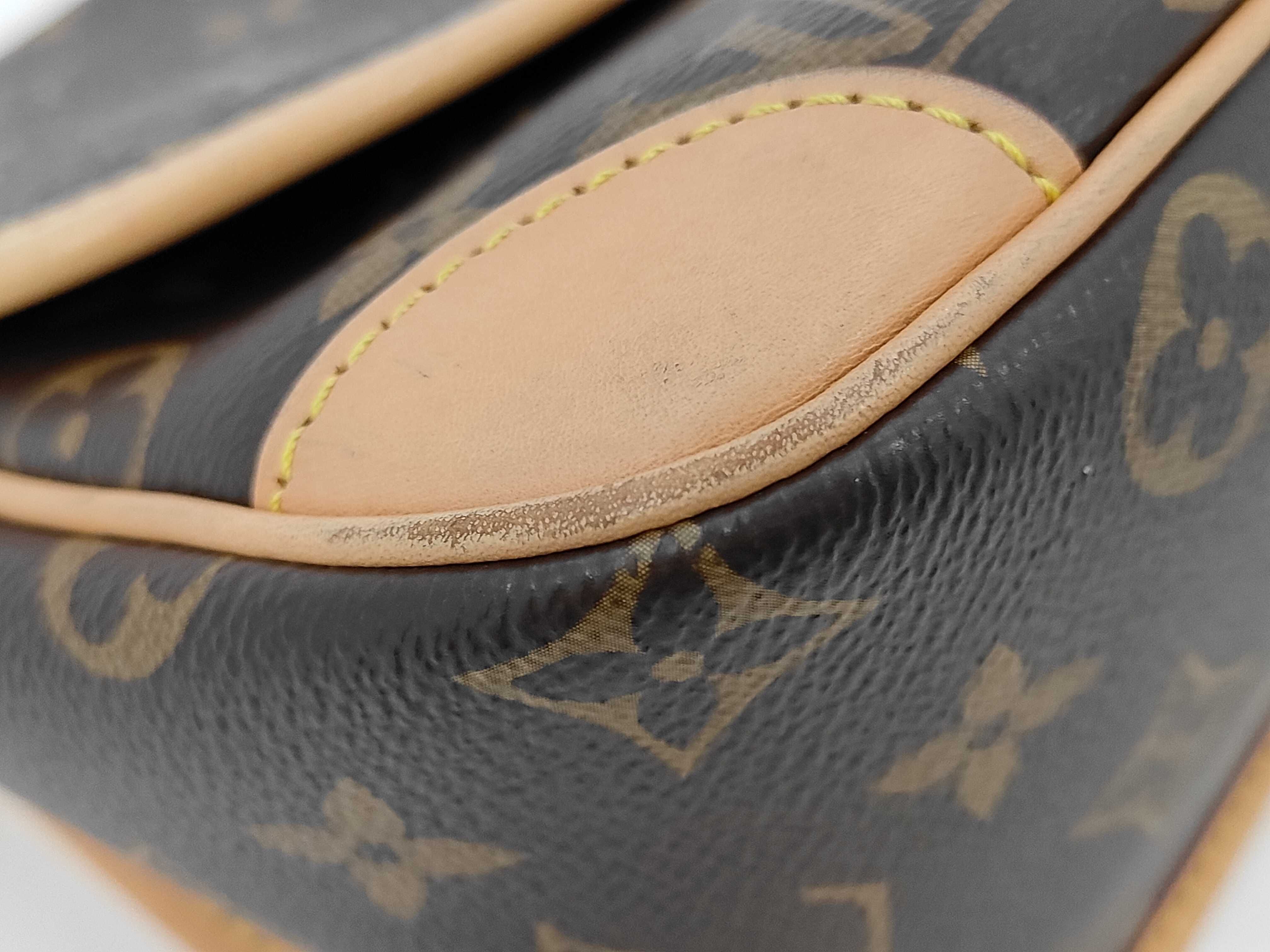 LV Louis Vuitton Monogram Diane Crossbody Bag Shoulder Bag — view 5