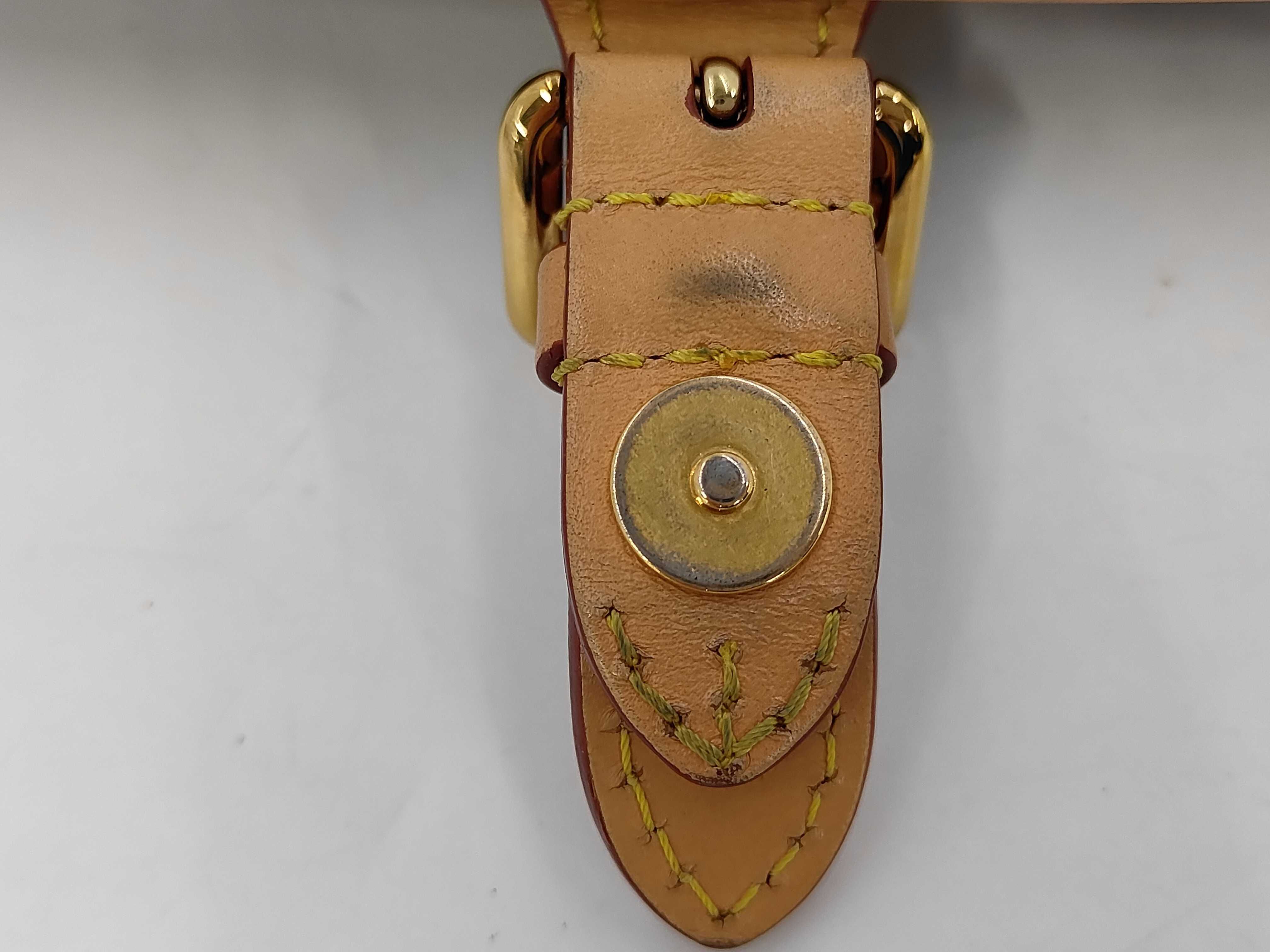 LV Louis Vuitton Monogram Diane Crossbody Bag Shoulder Bag — view 6