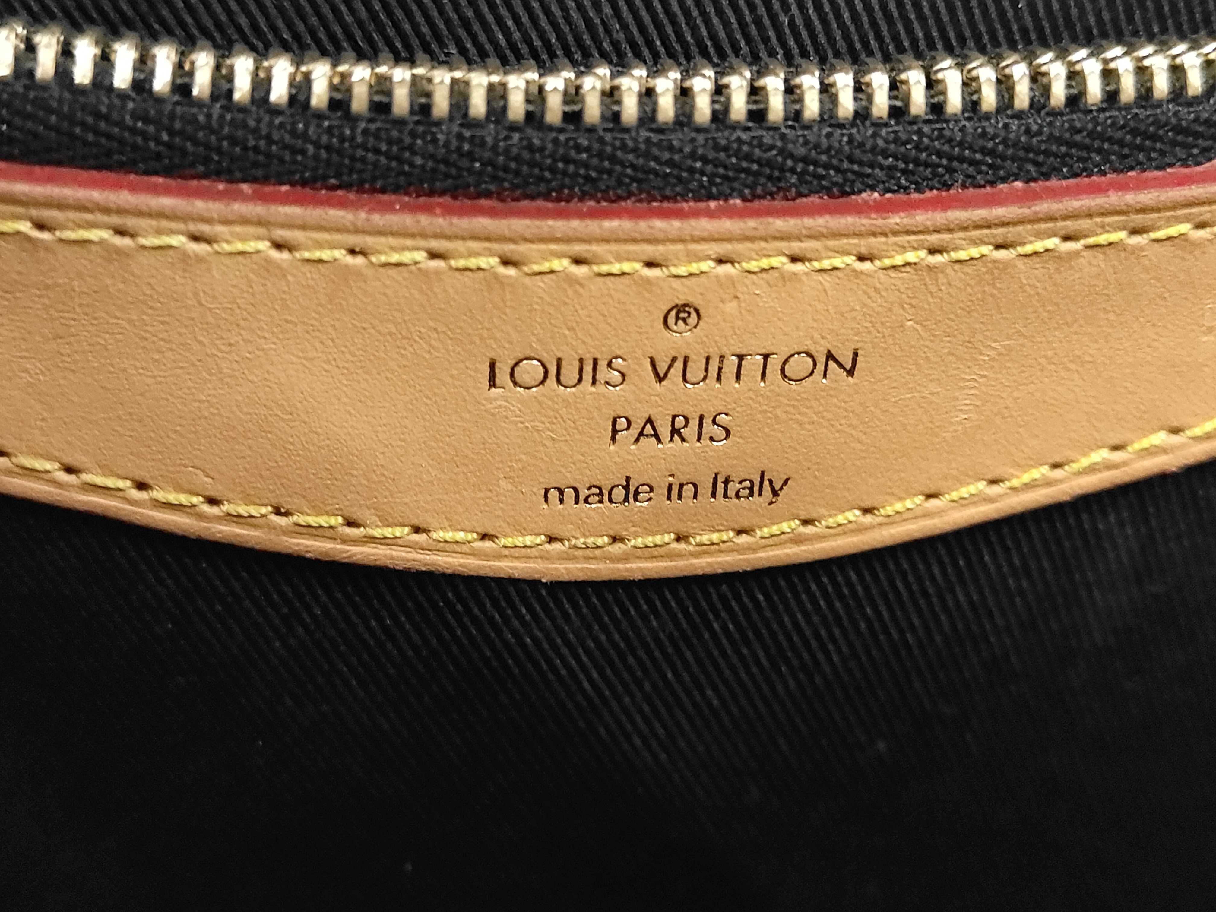 LV Louis Vuitton Monogram Diane Crossbody Bag Shoulder Bag — view 8