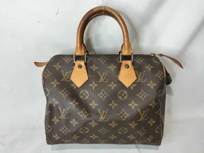 Monogram M41109 Speedy 25 Handbag