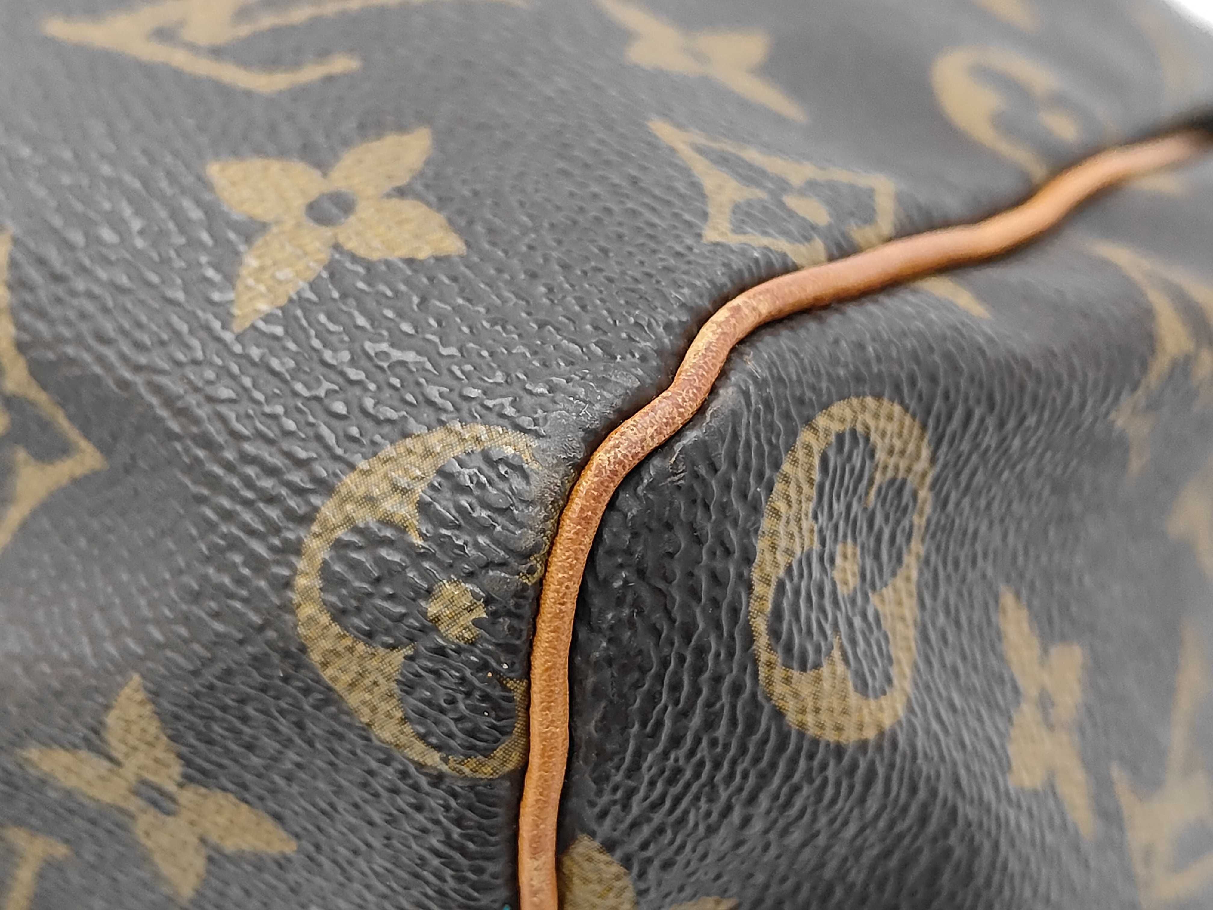 Monogram LV Speedy Handbag — view 5