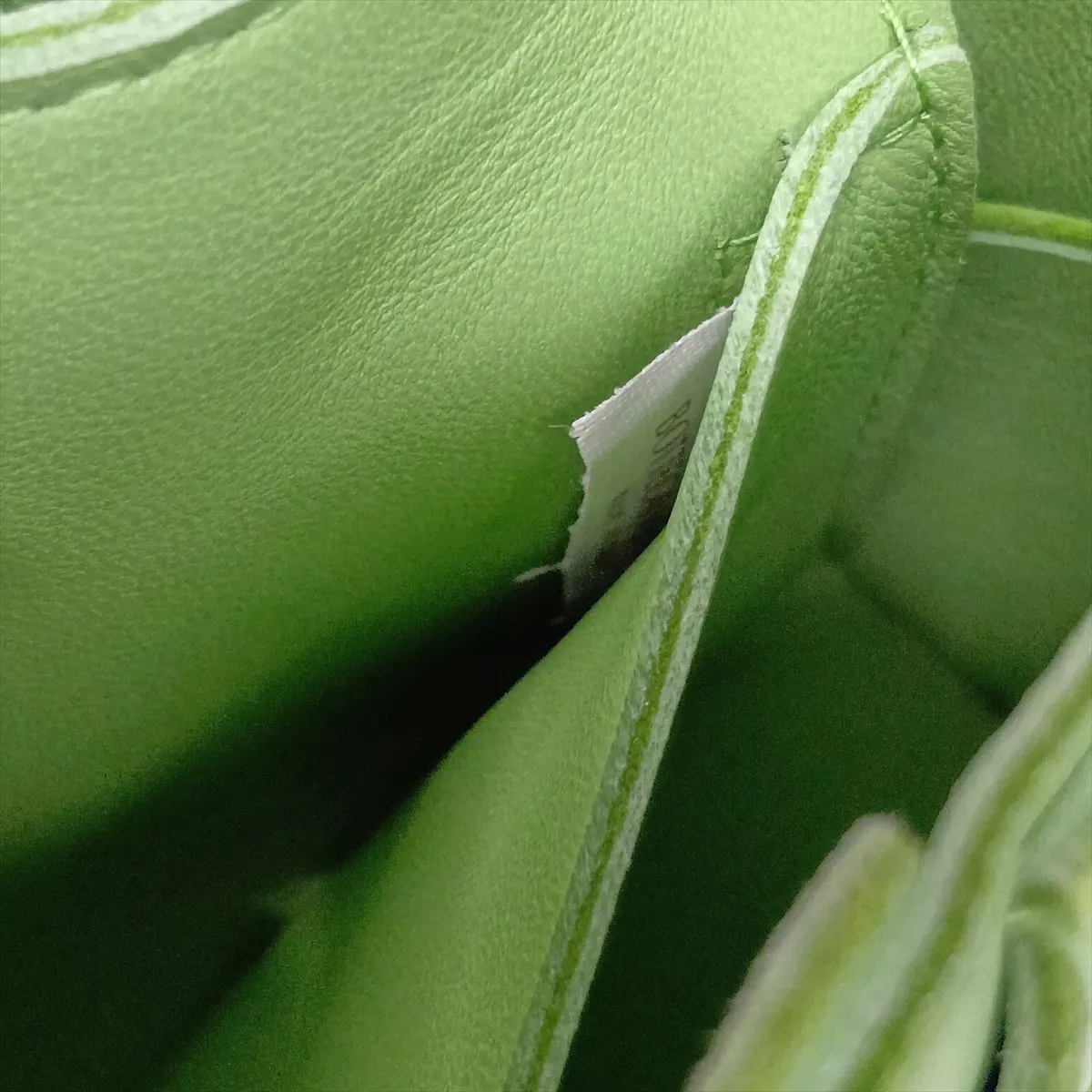 Maxi Intrecciato Cassette Leather Body Bag, Green — view 12