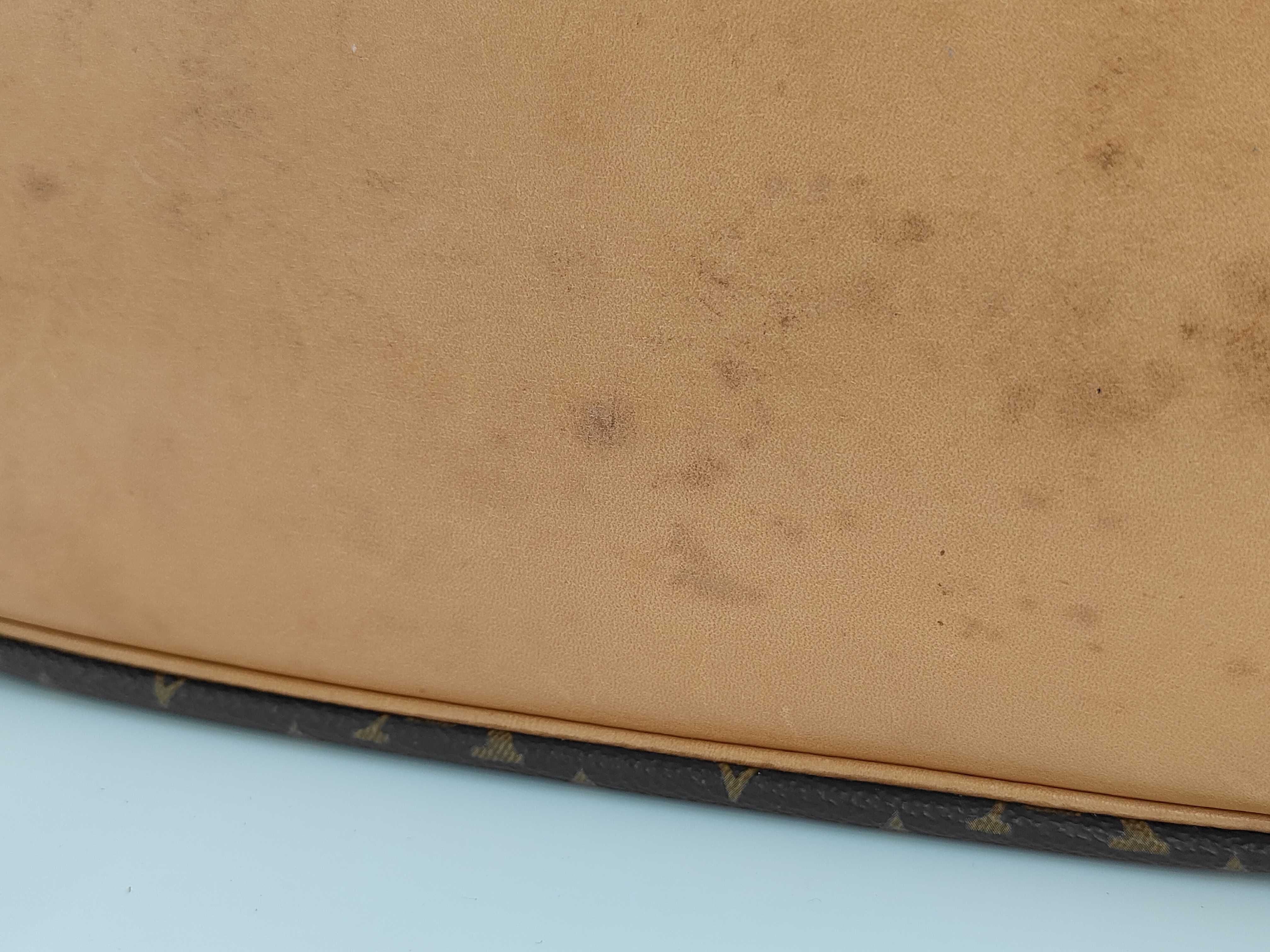 Monogram Petit Noé Shoulder Bag — view 10