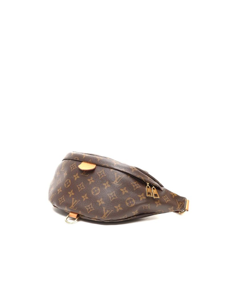 Monogram Bumbag — view 3