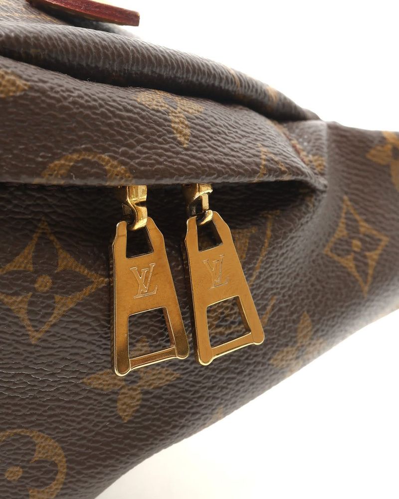 Monogram Bumbag — view 5