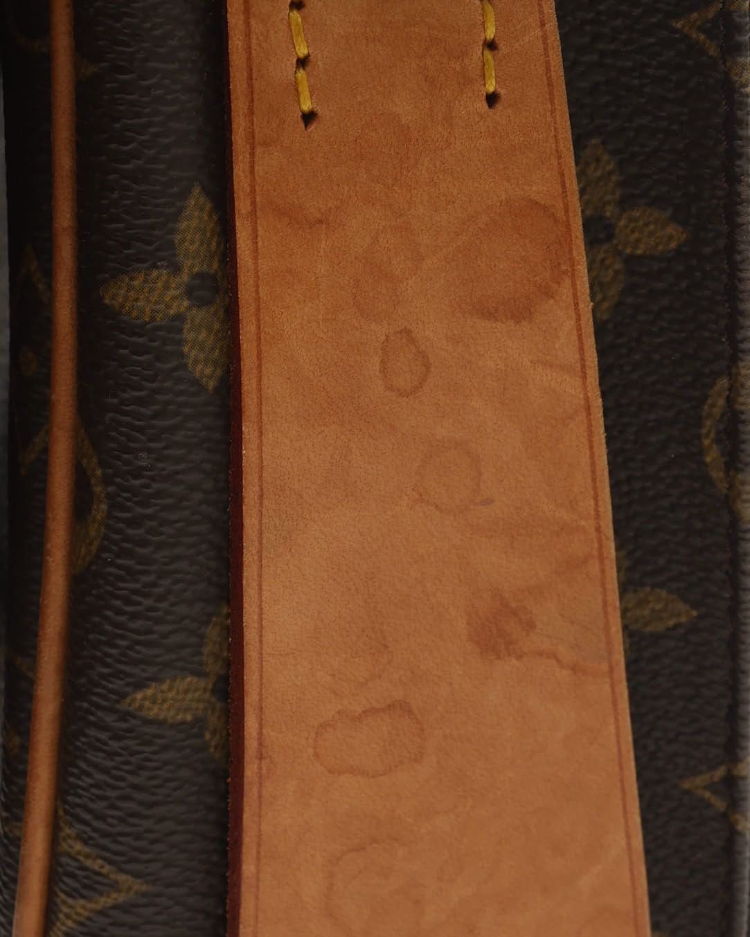 Cartouchiere GM, Monogram — view 7