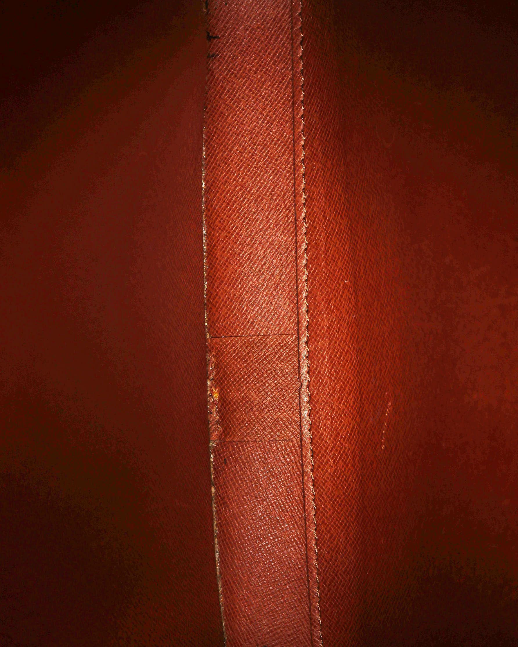 Cartouchiere GM, Monogram — view 10