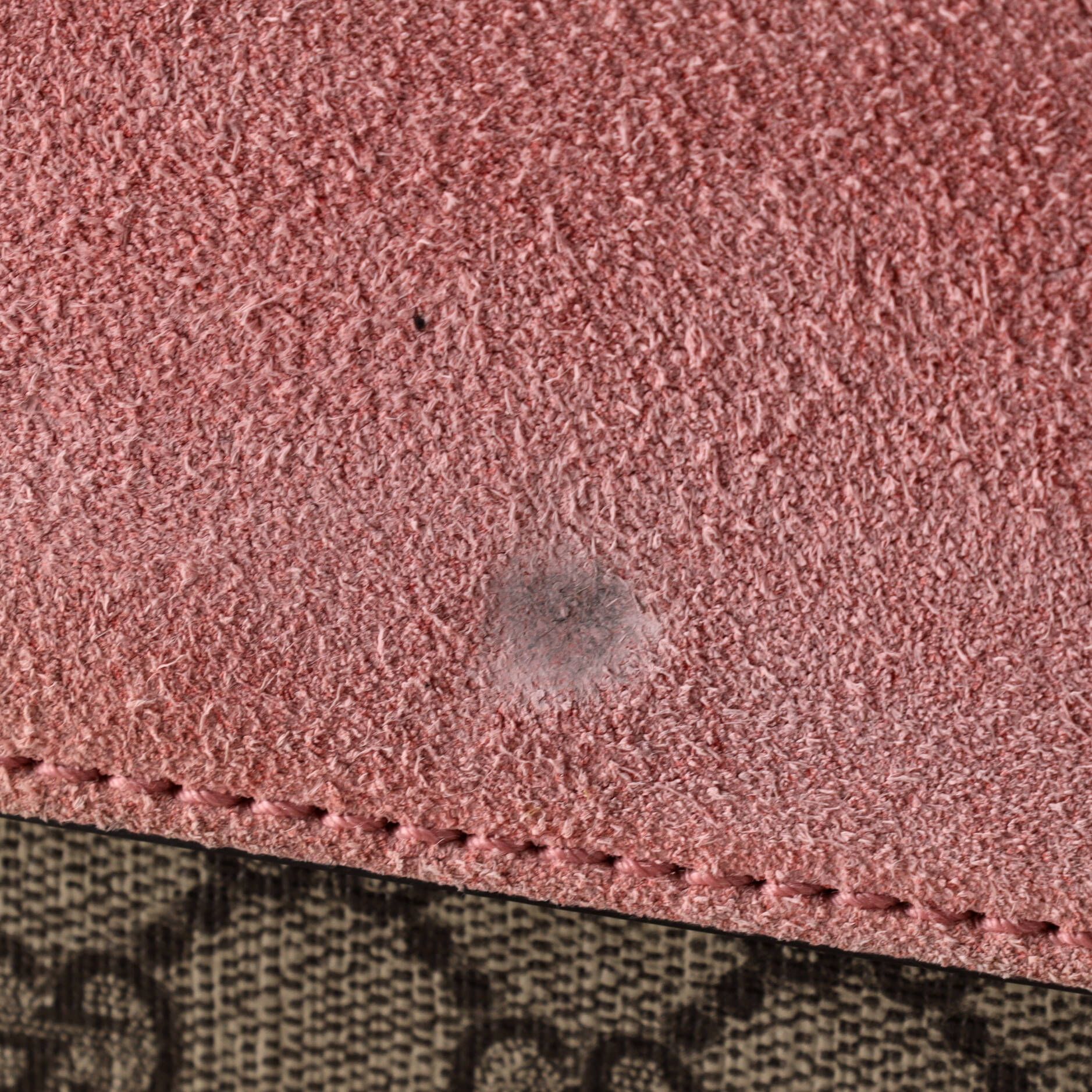 Dionysus Bag Crystal Embellished Gg Coated Canvas Small — view 7