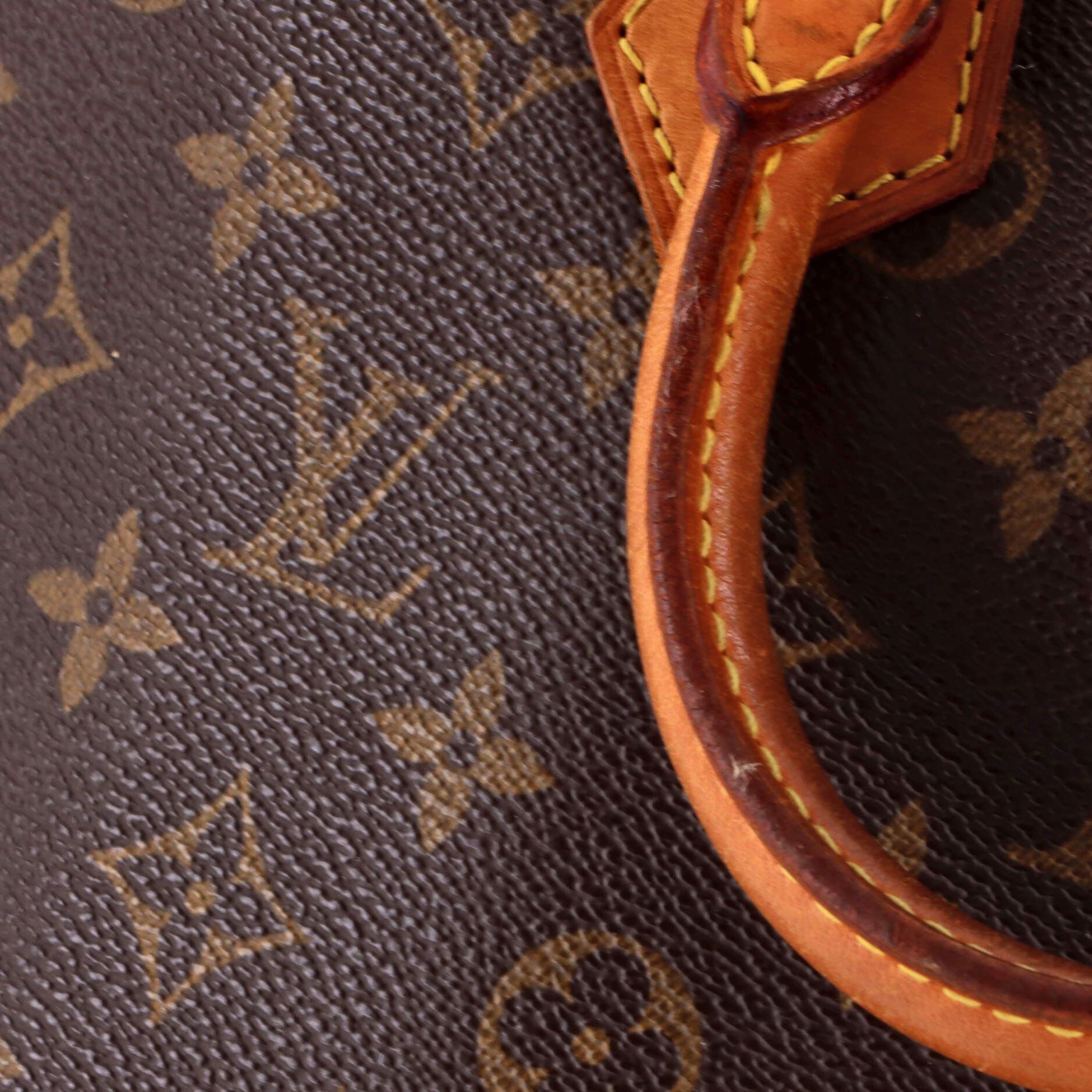 Alma PM, Monogram — view 6