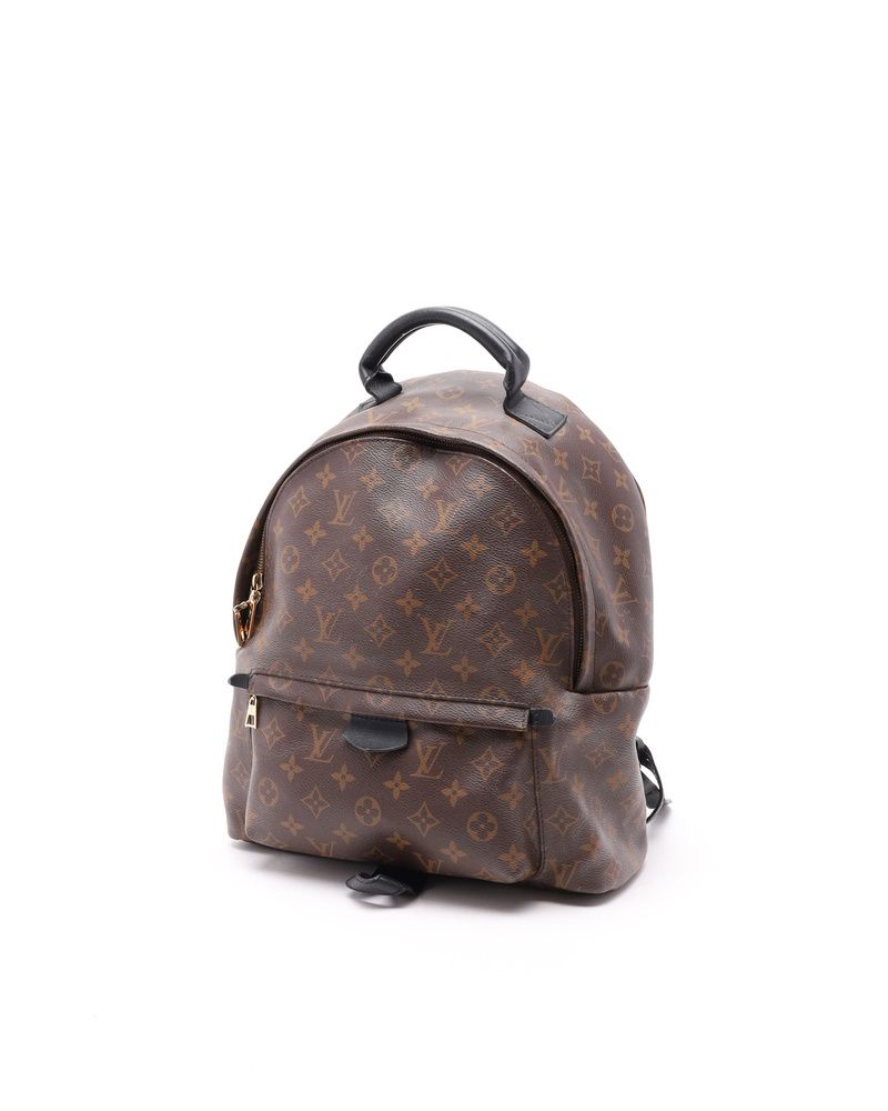 Monogram Palm Springs MM Backpack — view 3