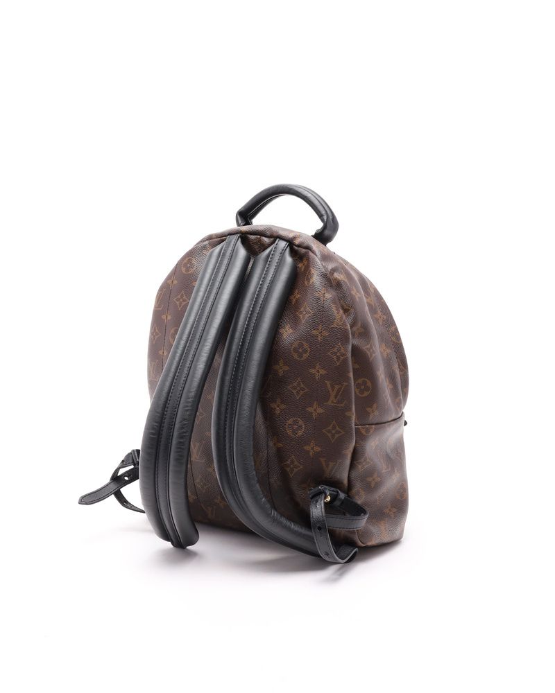 Monogram Palm Springs MM Backpack — view 4