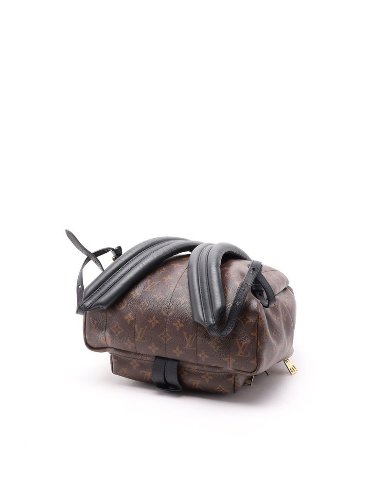 Monogram Palm Springs MM Backpack — view 5