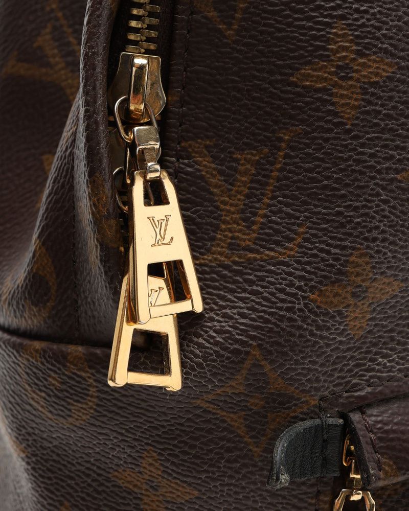 Monogram Palm Springs MM Backpack — view 7