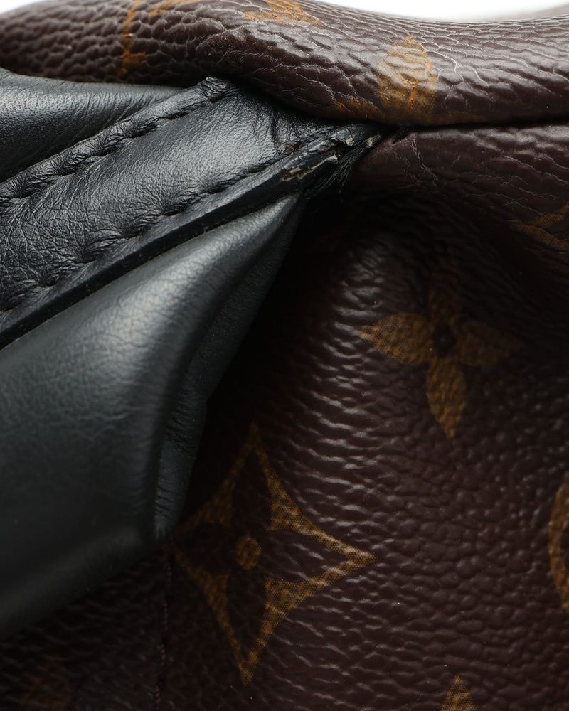 Monogram Palm Springs MM Backpack — view 8