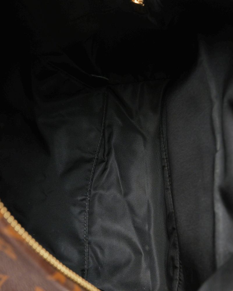 Monogram Palm Springs MM Backpack — view 10