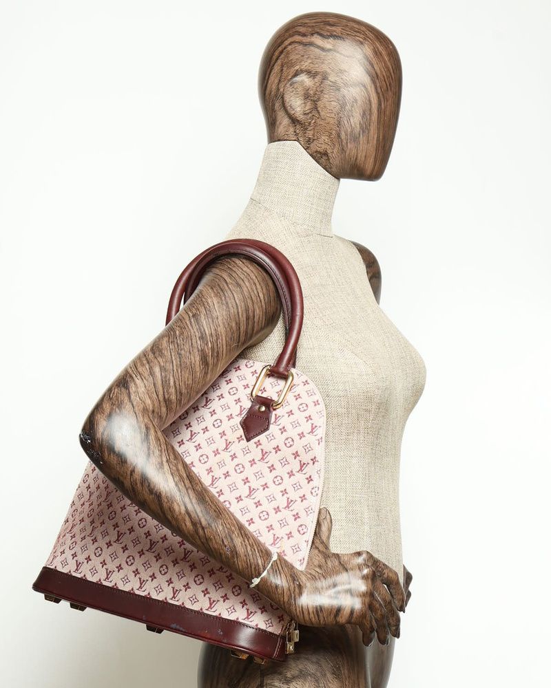 Mini Lin Alma Haut Bag — view 18