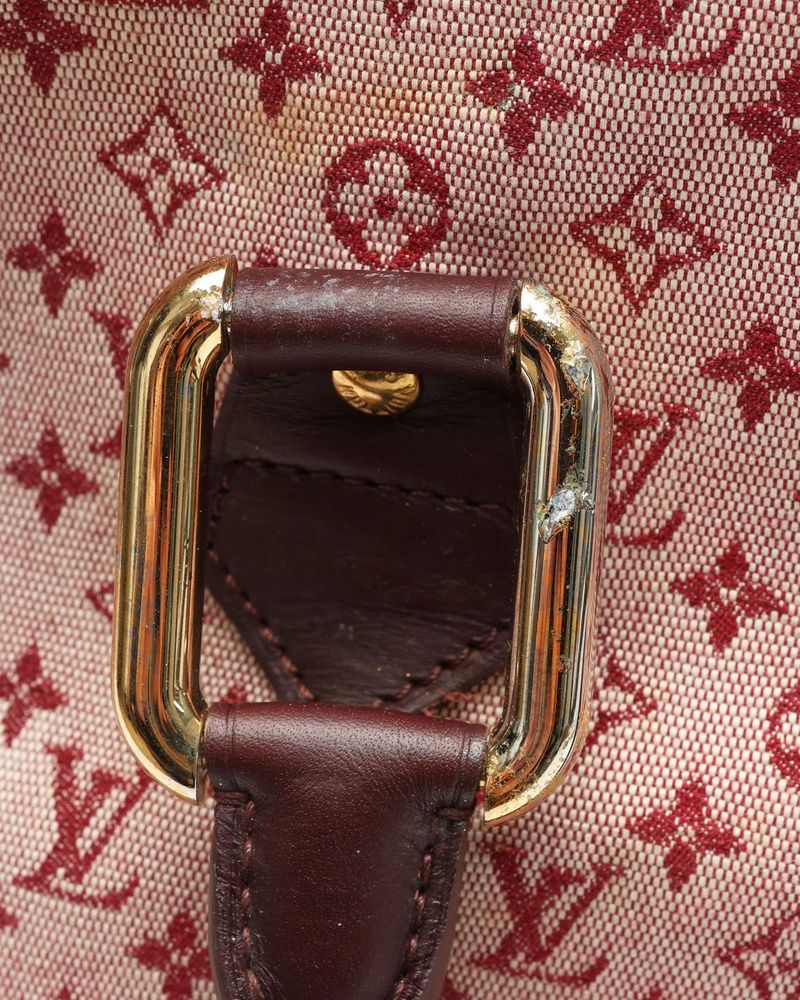 Mini Lin Alma Haut Bag — view 8