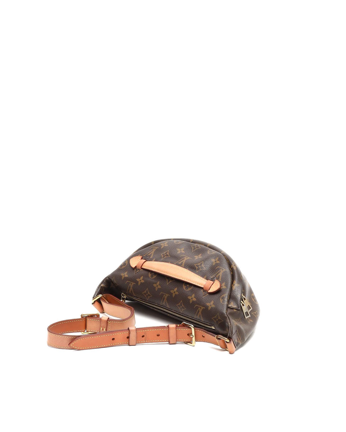 Monogram Bumbag — view 3