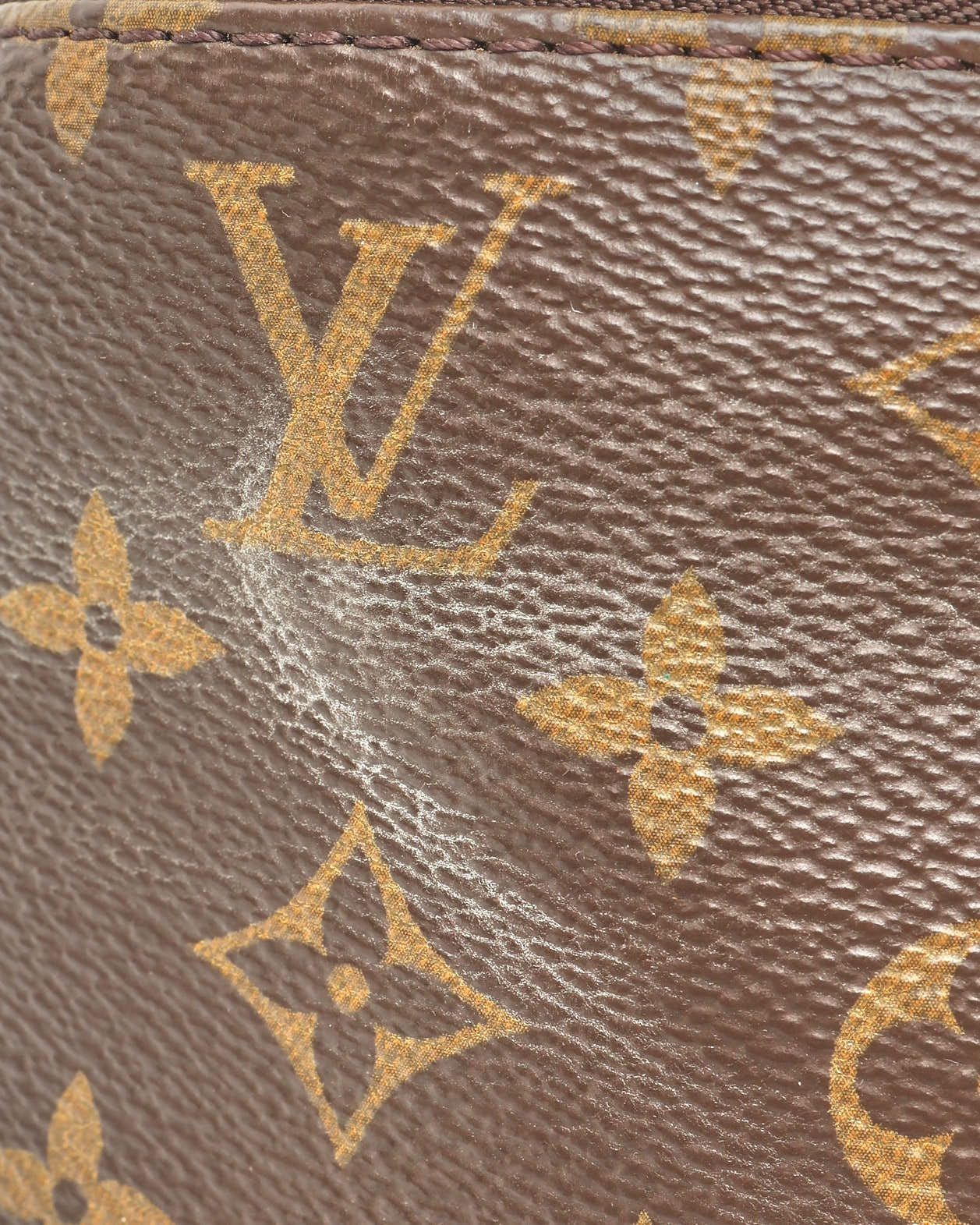 Monogram Bumbag — view 5