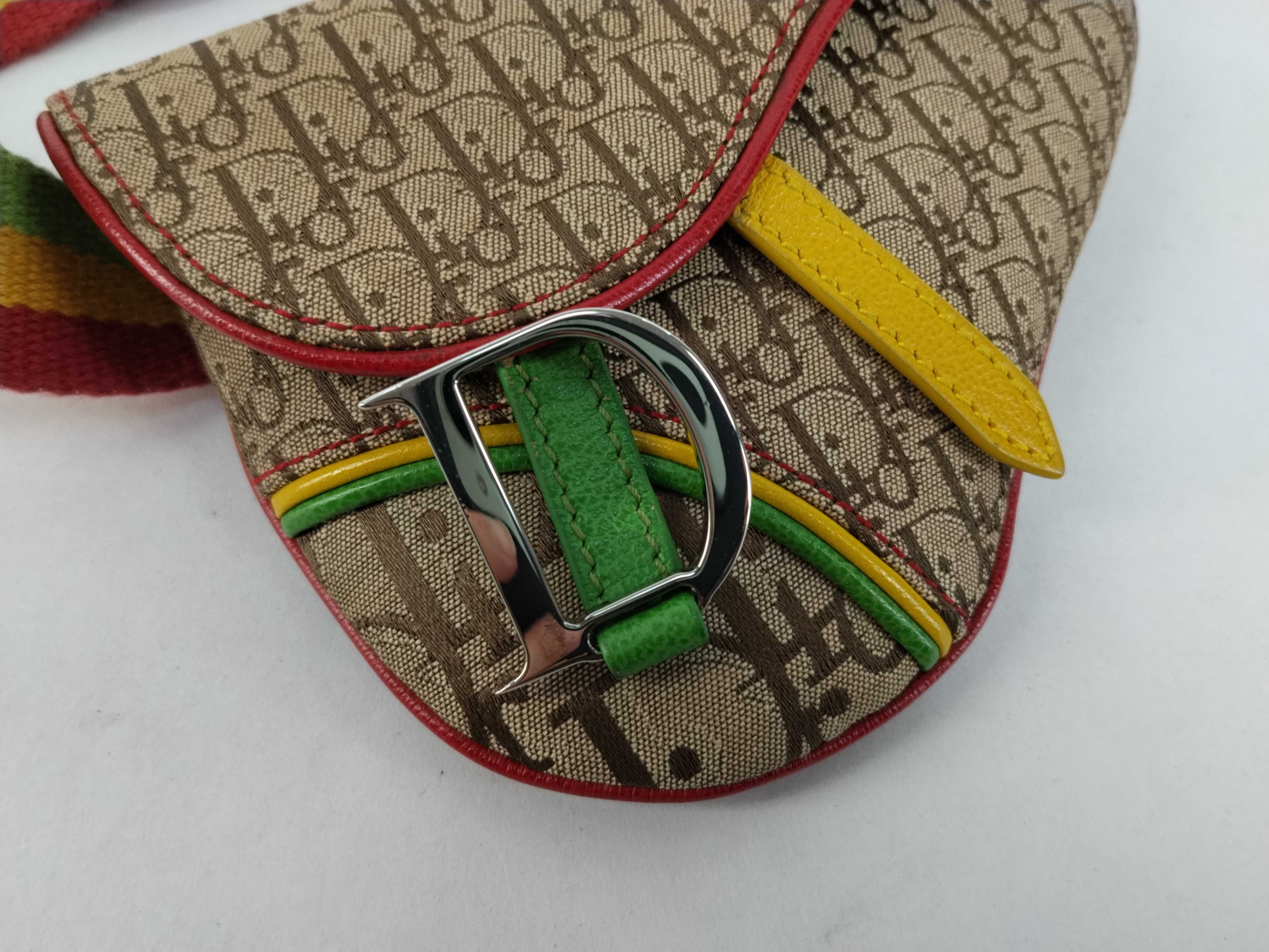 Trotter Dior Saddle Bag Rasta Trotter Shoulder Bag — view 8