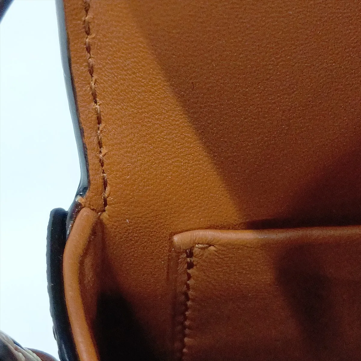 Triomphe Claude PVC x Leather Shoulder Bag, Brown — view 10