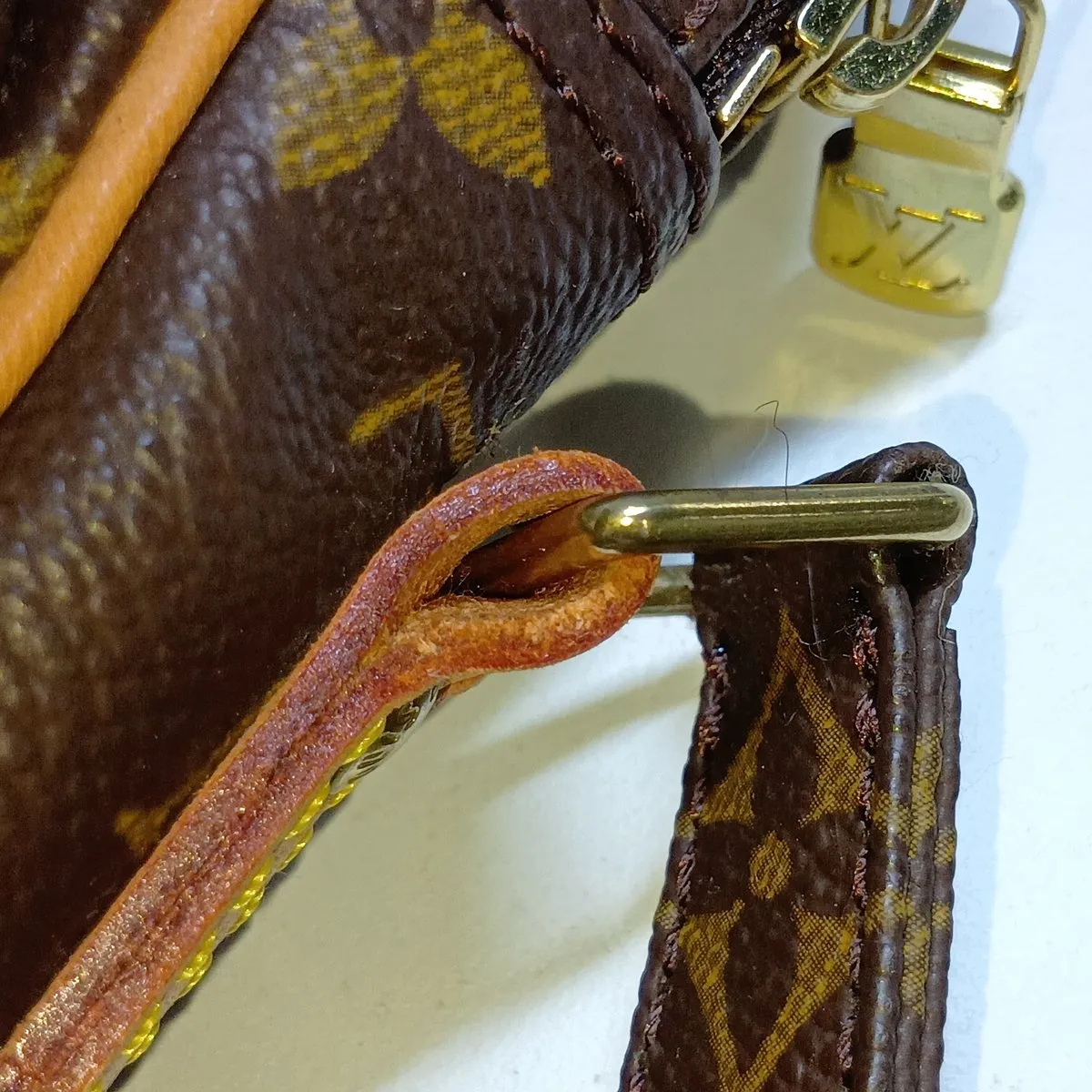 Monogram Amazon M45236 AR0021 Brown — view 11