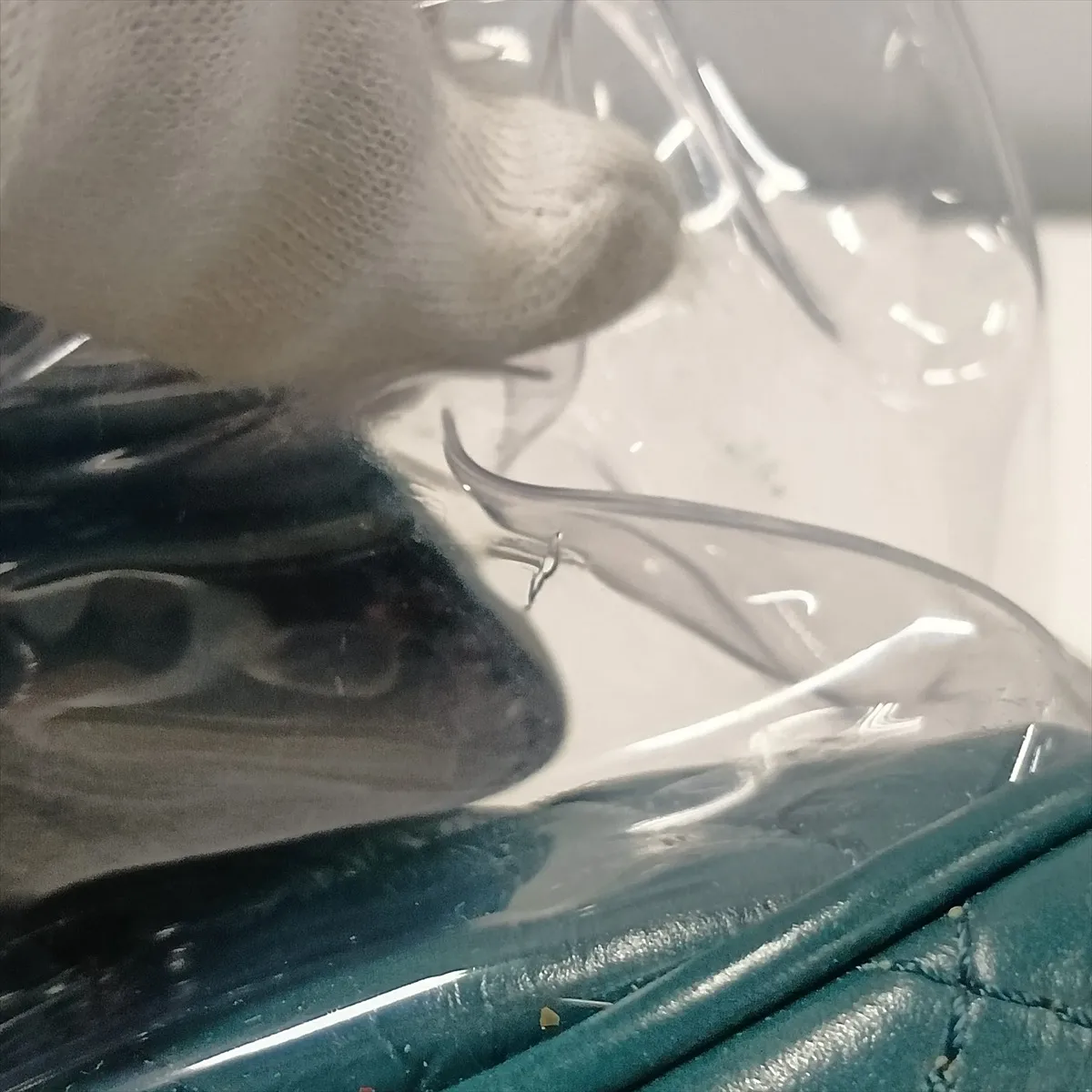 Matelassé Vintage Calfskin x Vinyl Chain Shoulder Bag, Green x Clear, Silver Hardware, 25722557, Serial Number — view 10
