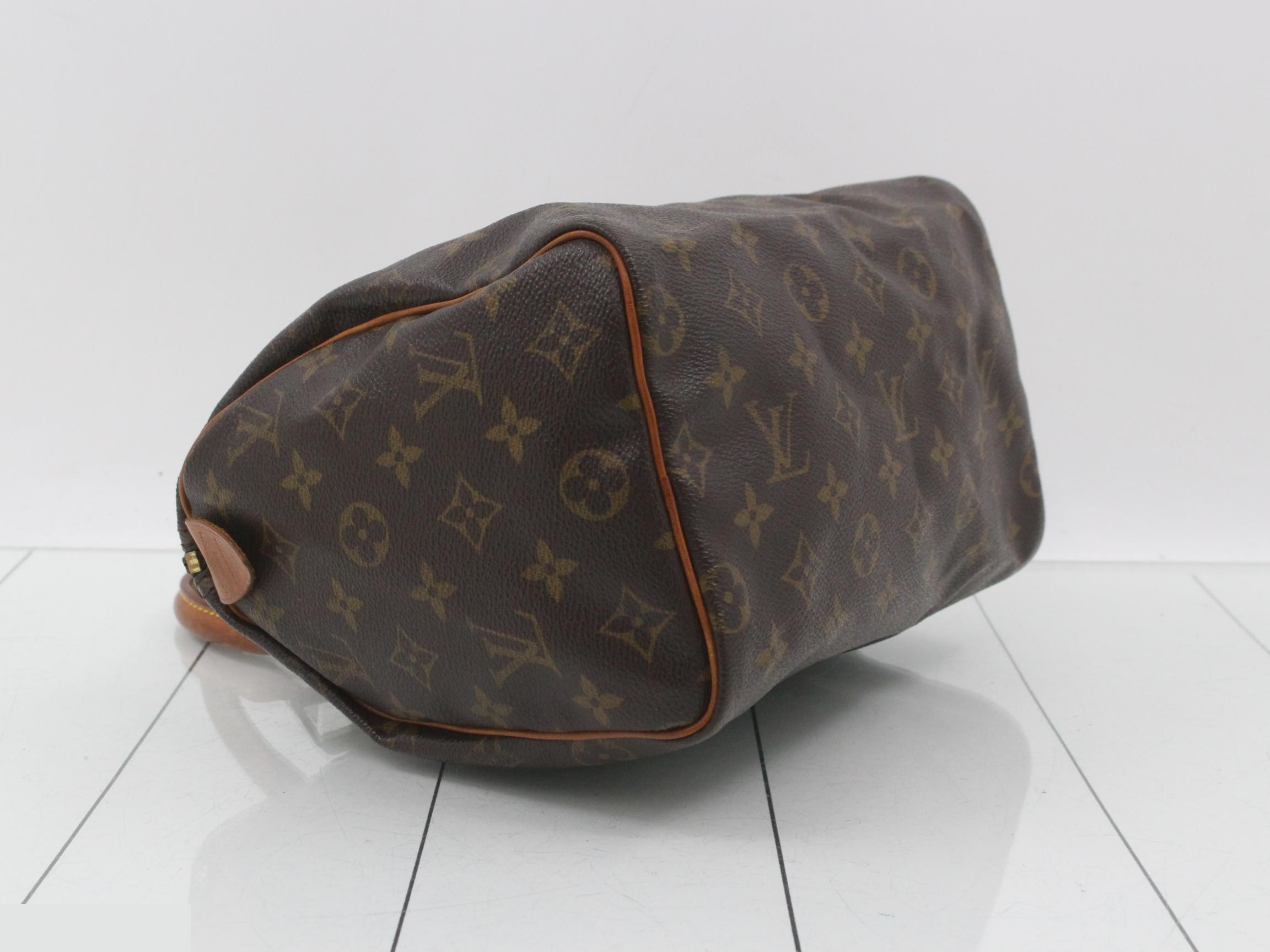 Speedy 25 M41528 Handbag, Monogram — view 5
