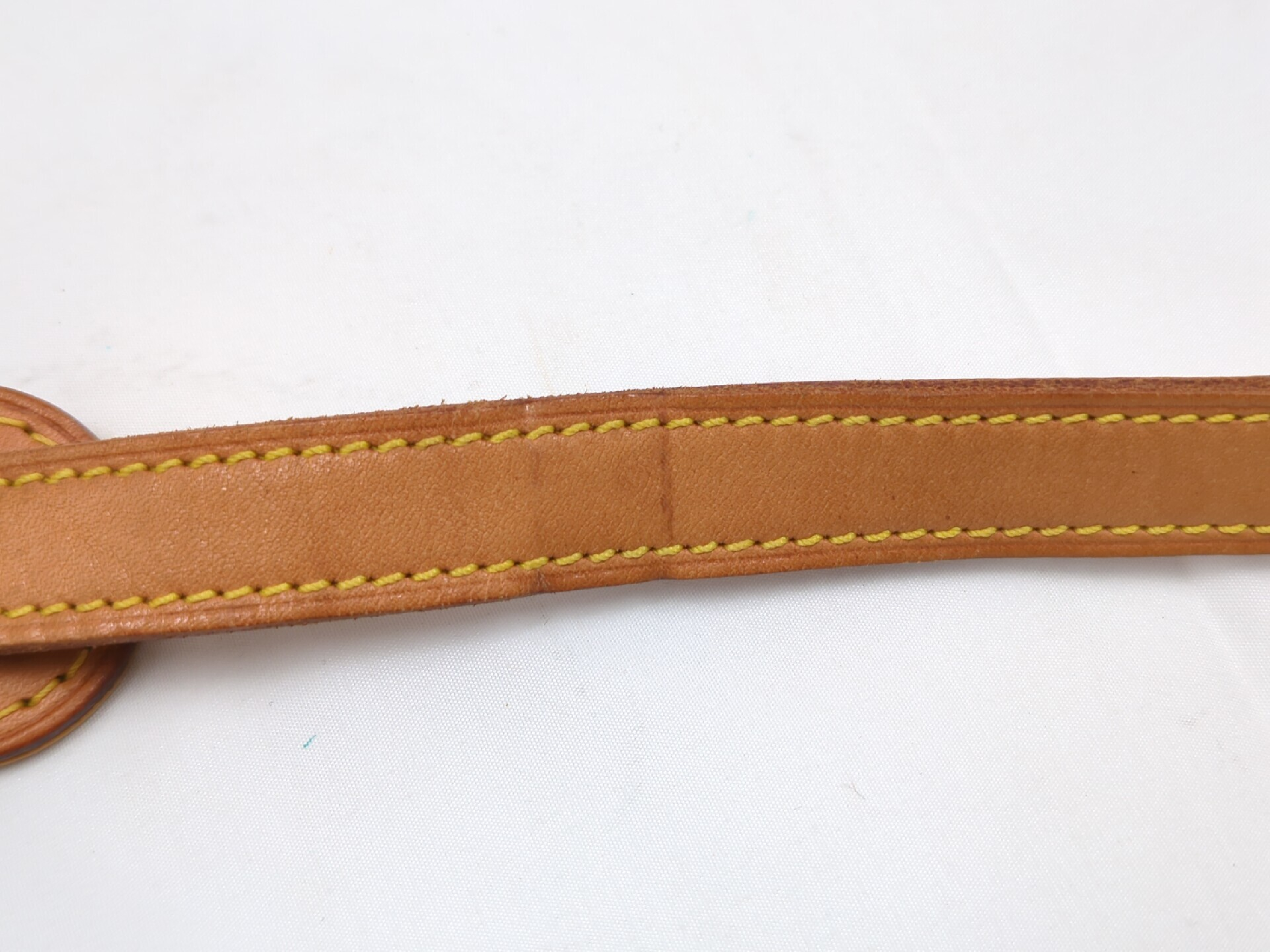 M42250 Monogram Sologne Shoulder Bag — view 15