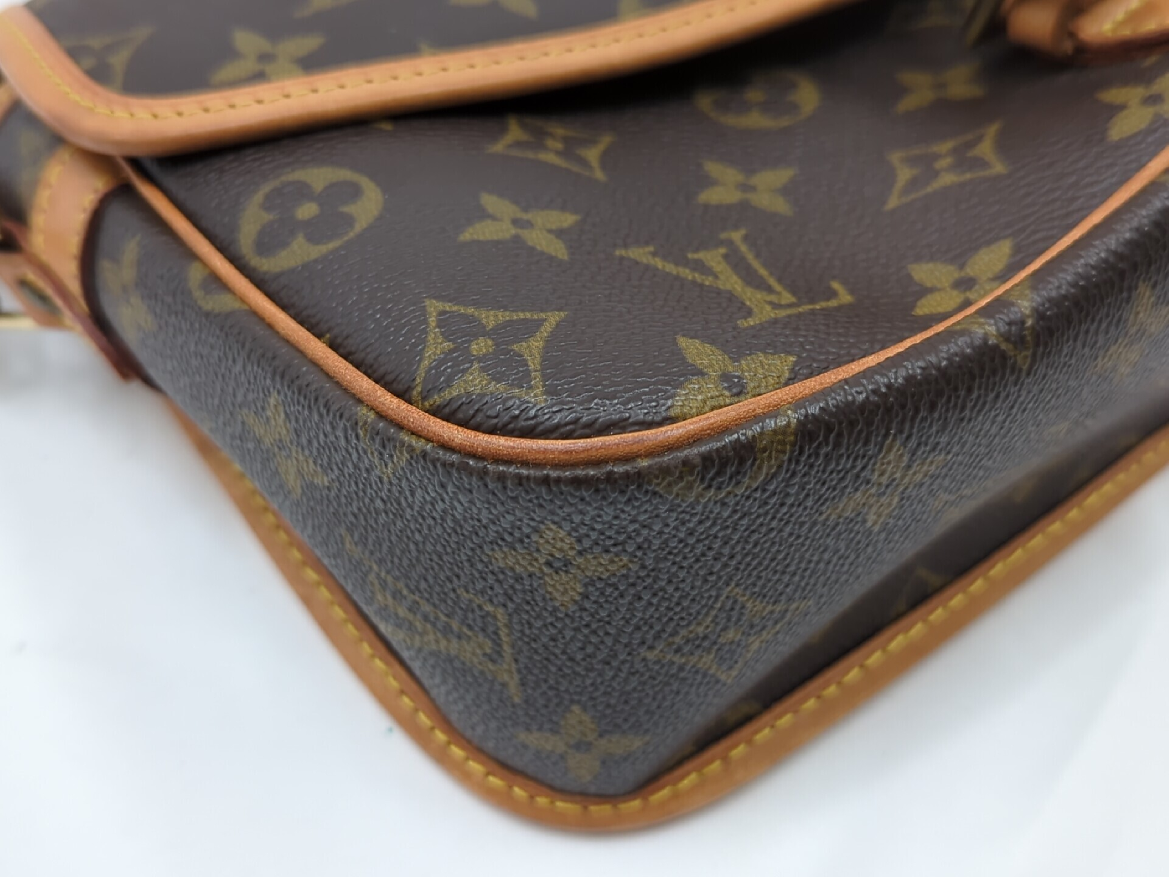 M42250 Monogram Sologne Shoulder Bag — view 3