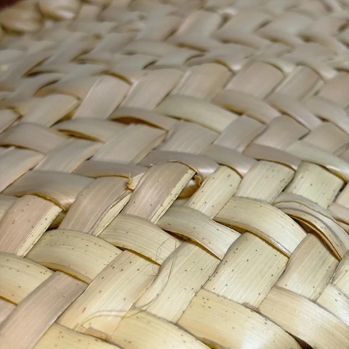 Marcie Raffia x Leather Basket Bag, Beige x Brown — view 11