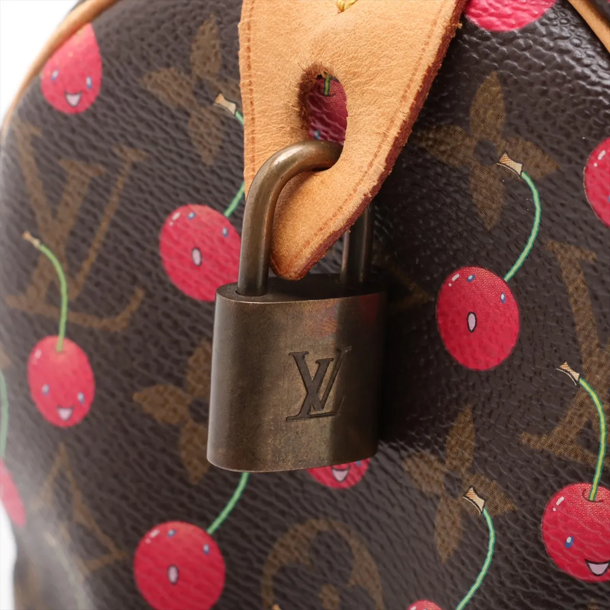 x Takashi Murakami Monogram Cherry Blossom Speedy 25 M95009 Brown SP0035 — view 10