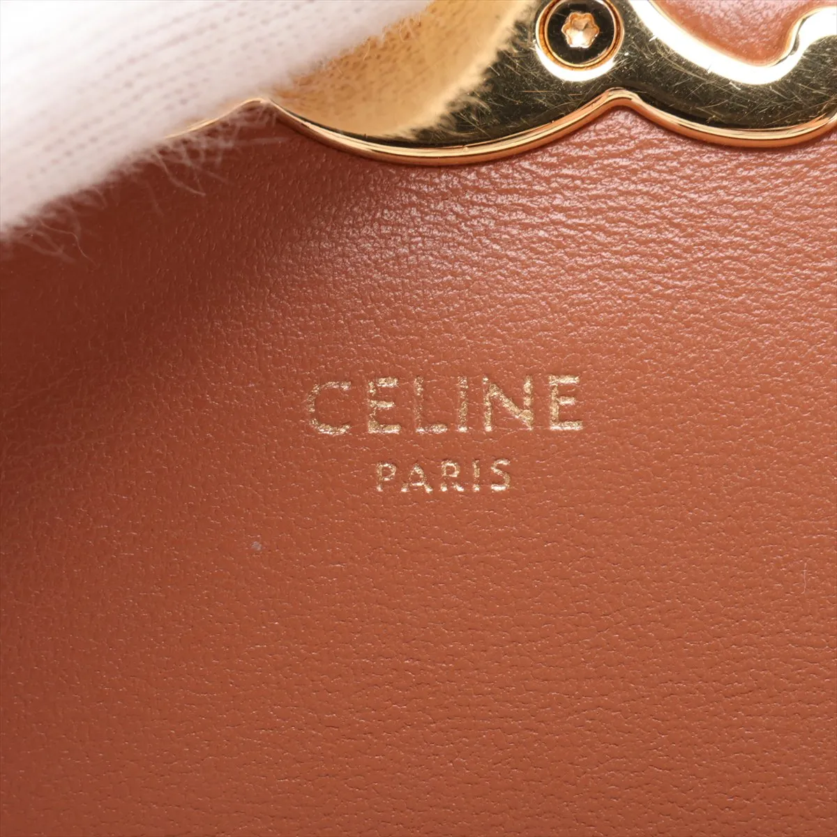 Triomphe PVC x Leather Shoulder Bag, White x Brown — view 9