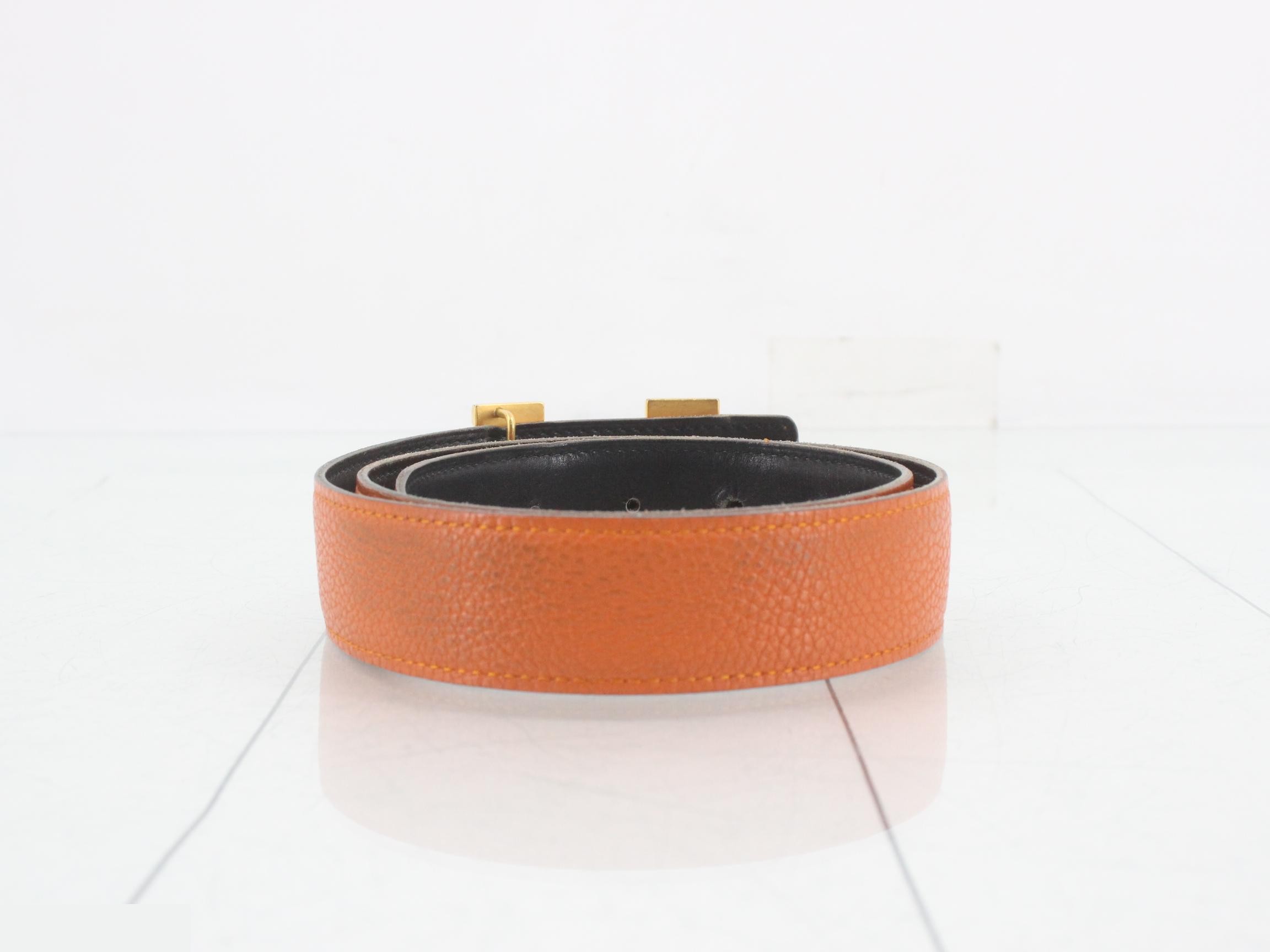 Constance Belt — view 2