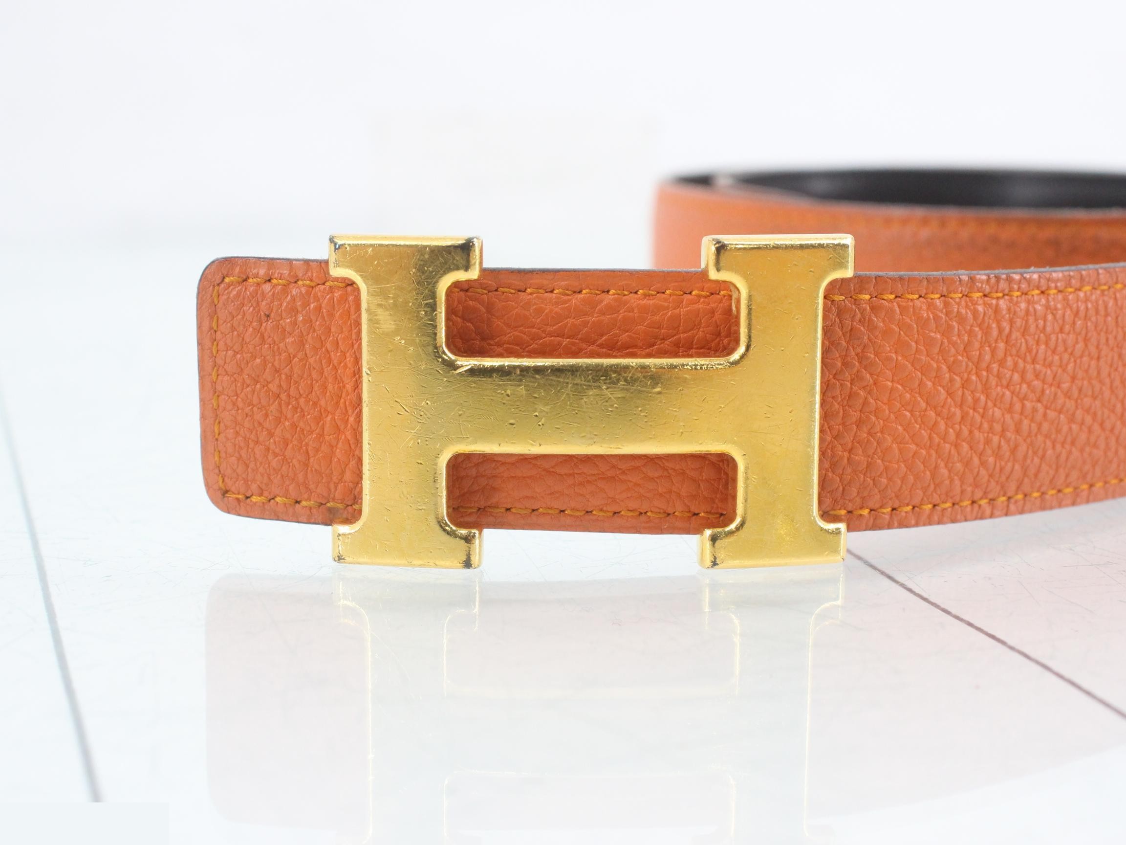 Constance Belt — view 3
