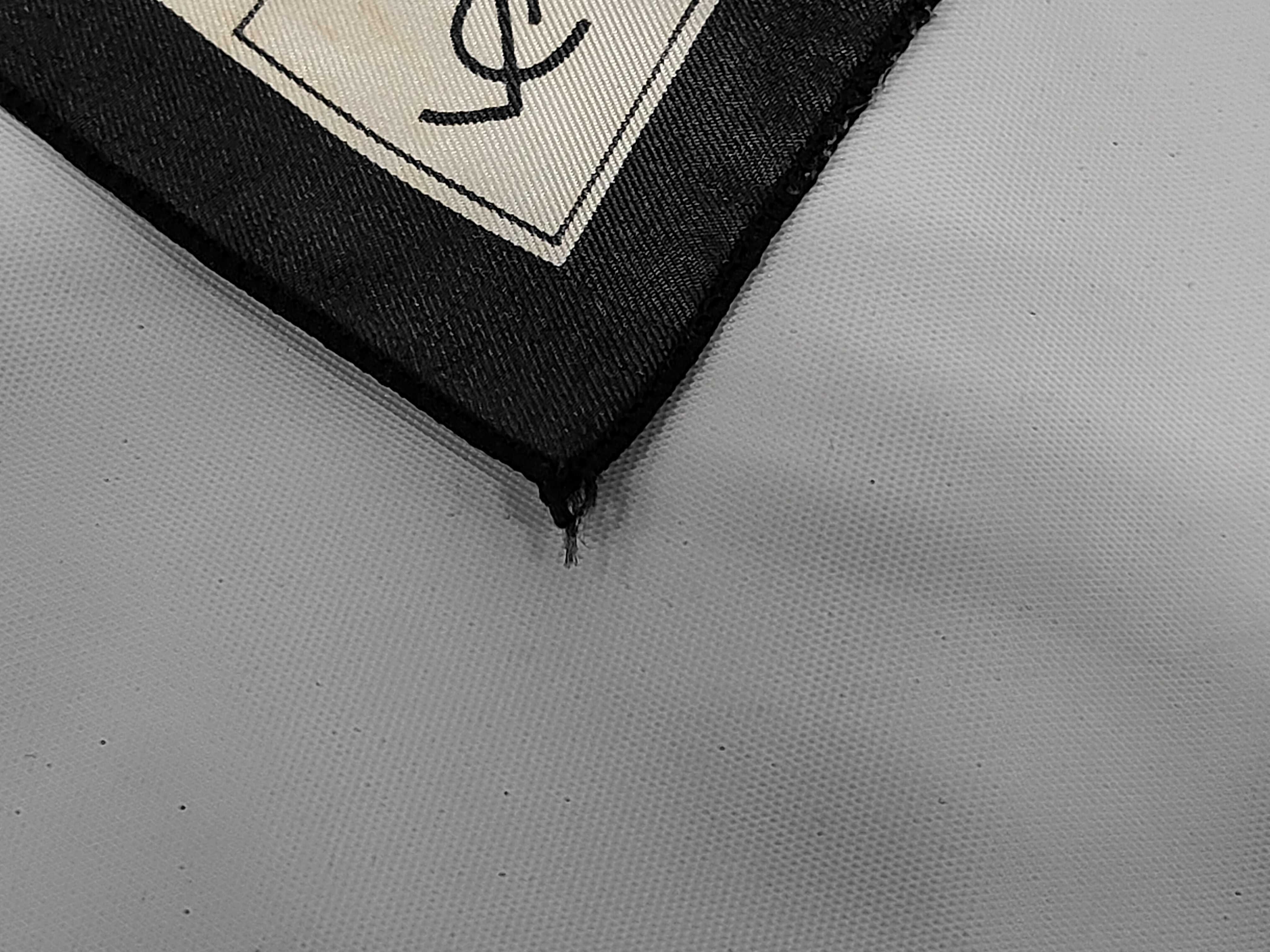 Logo Scarf and other accessories — view 7