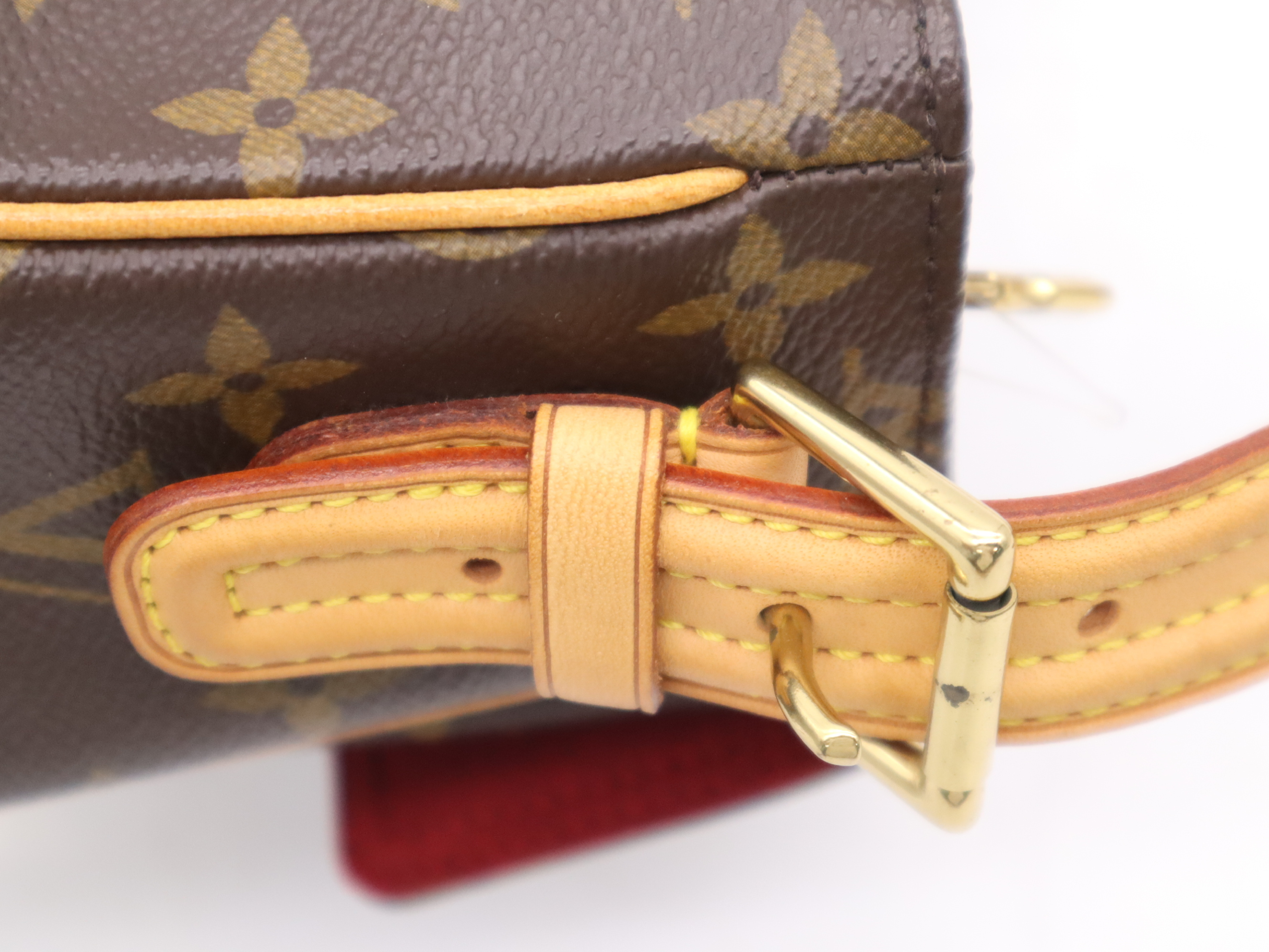 M51164 Monogram Viva Cite MM Shoulder Bag — view 7