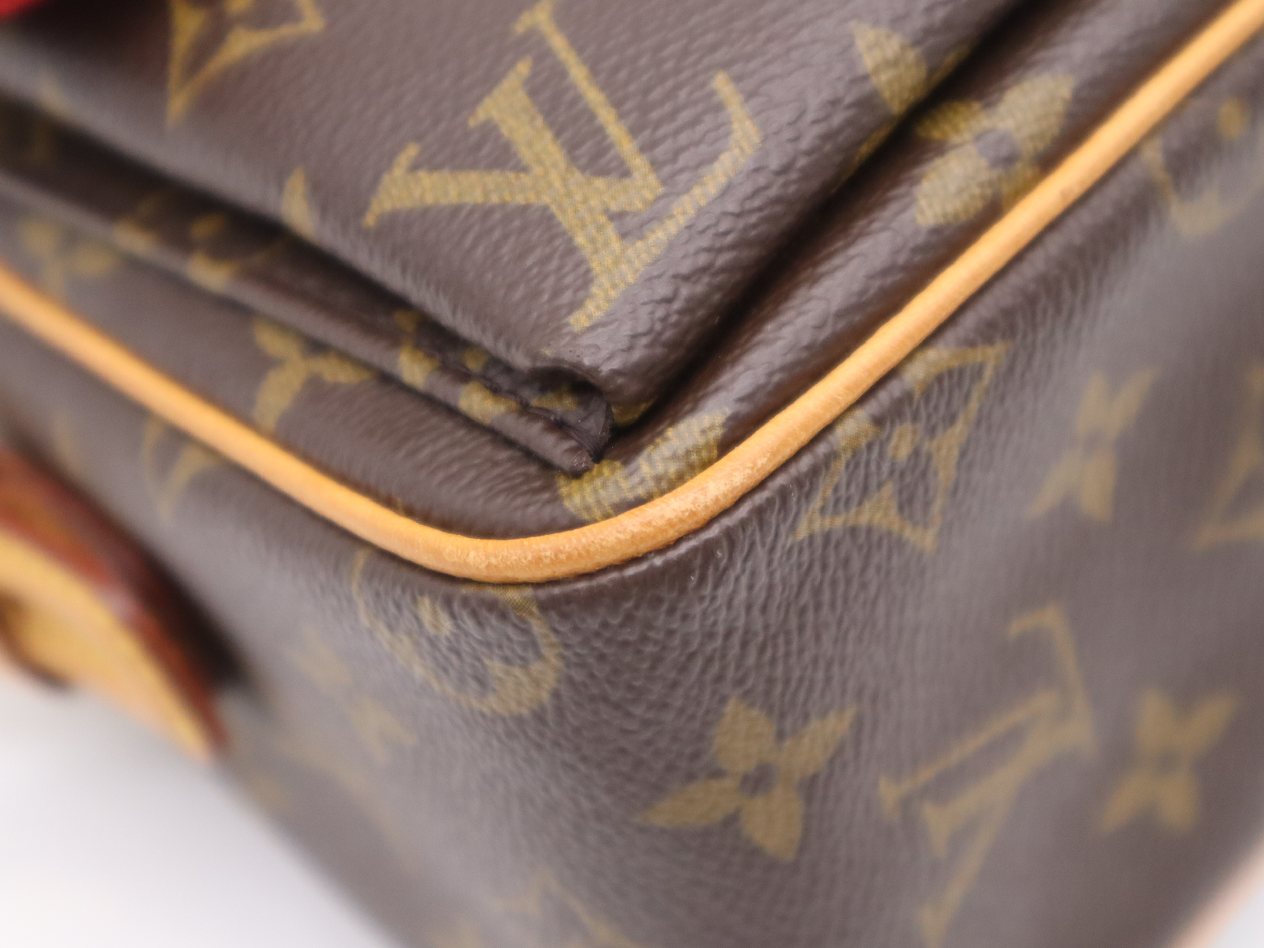 M51164 Monogram Viva Cite MM Shoulder Bag — view 9