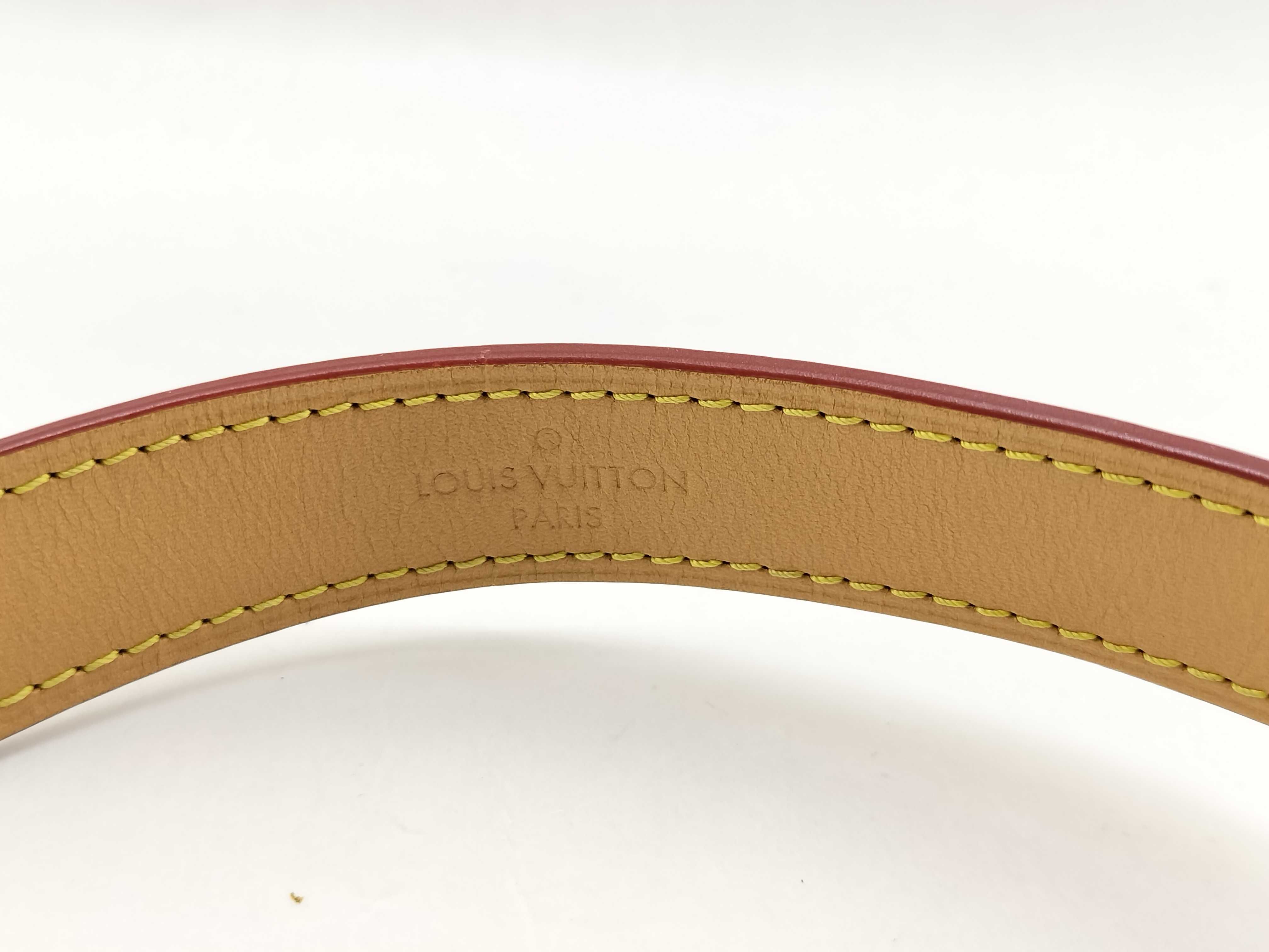 Monogram Louis Vuitton Monogram Diane NM PM M45985 Bag — view 5