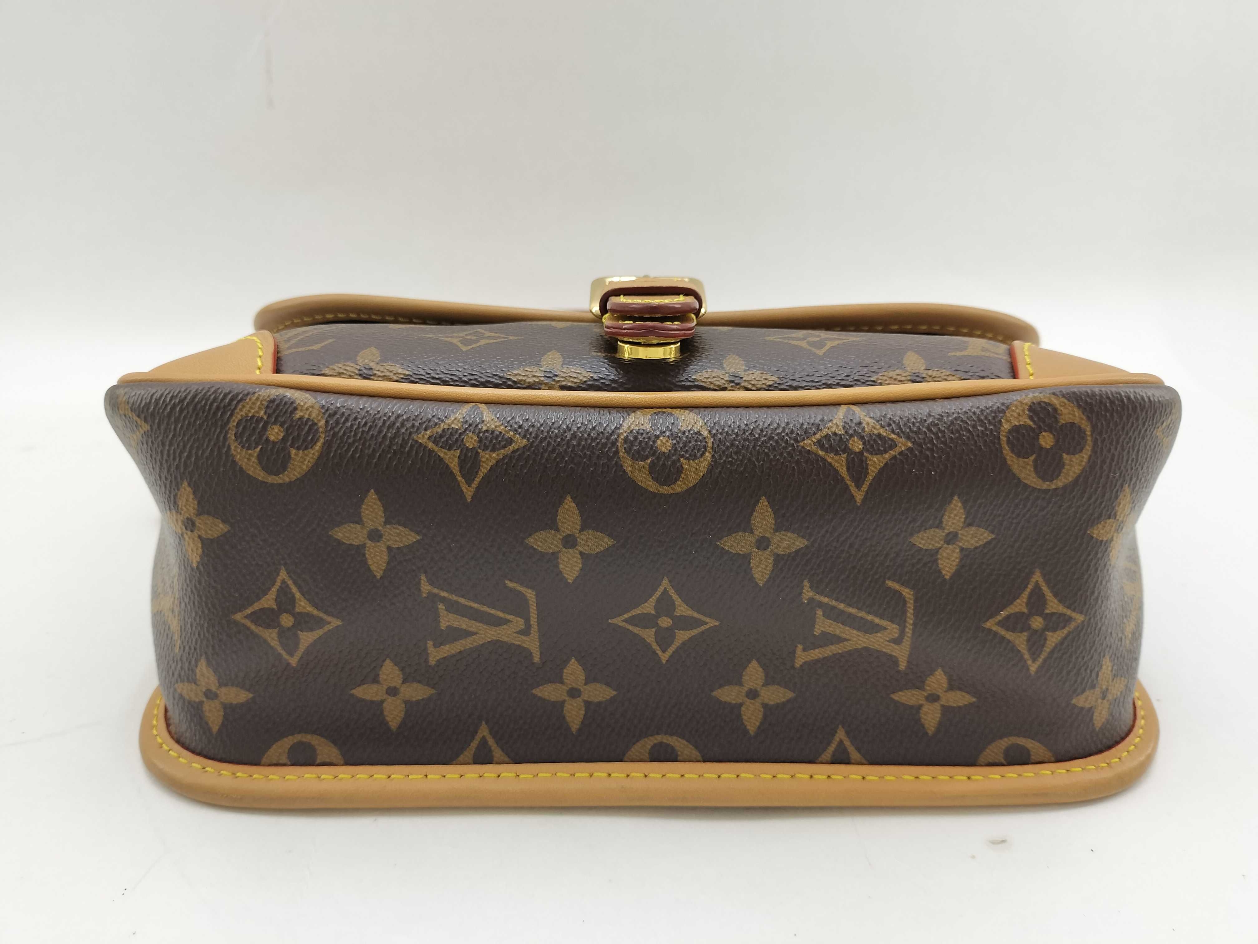Monogram Louis Vuitton Monogram Diane NM PM M45985 Bag — view 6