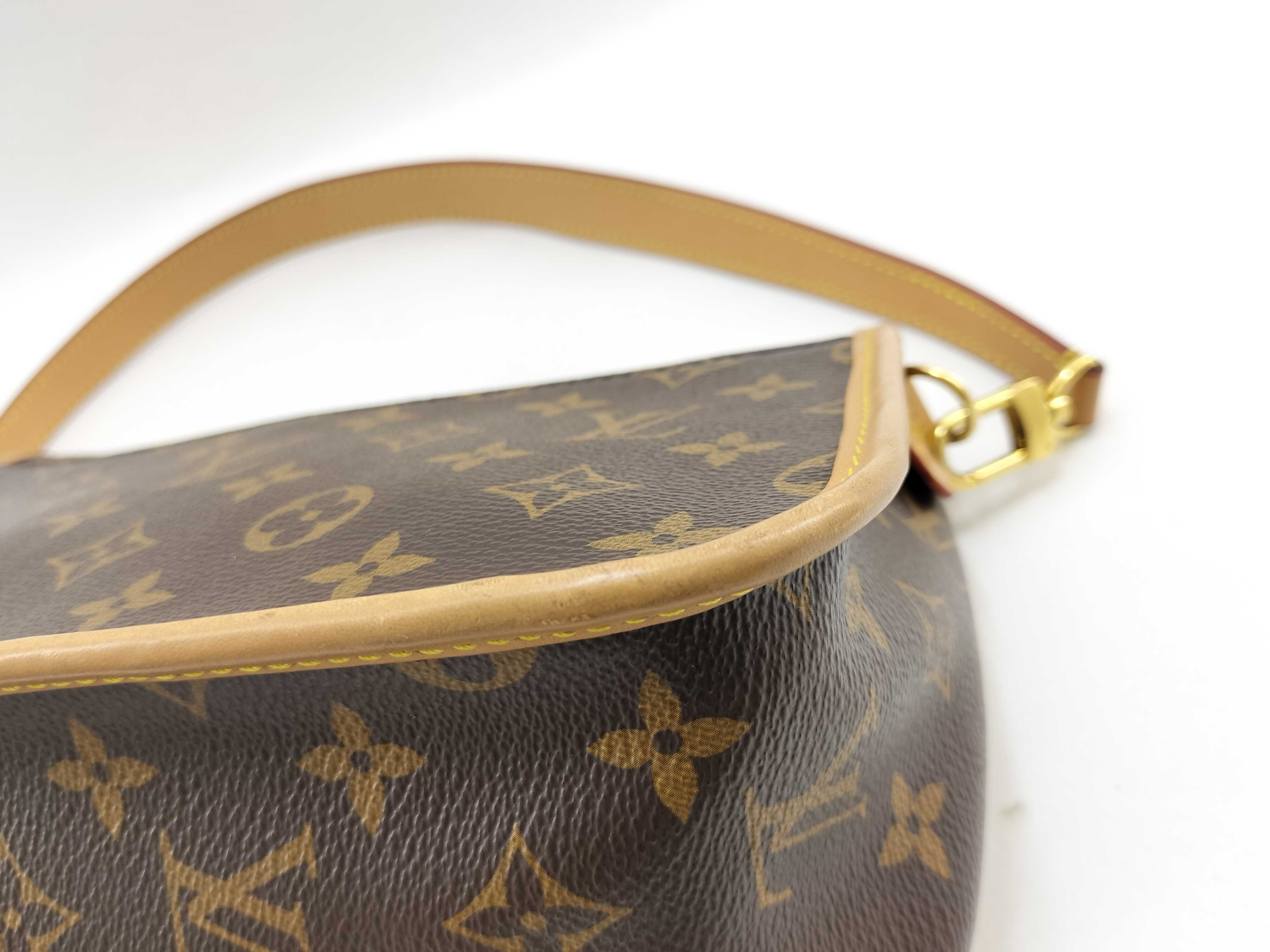 Monogram Louis Vuitton Monogram Diane NM PM M45985 Bag — view 8