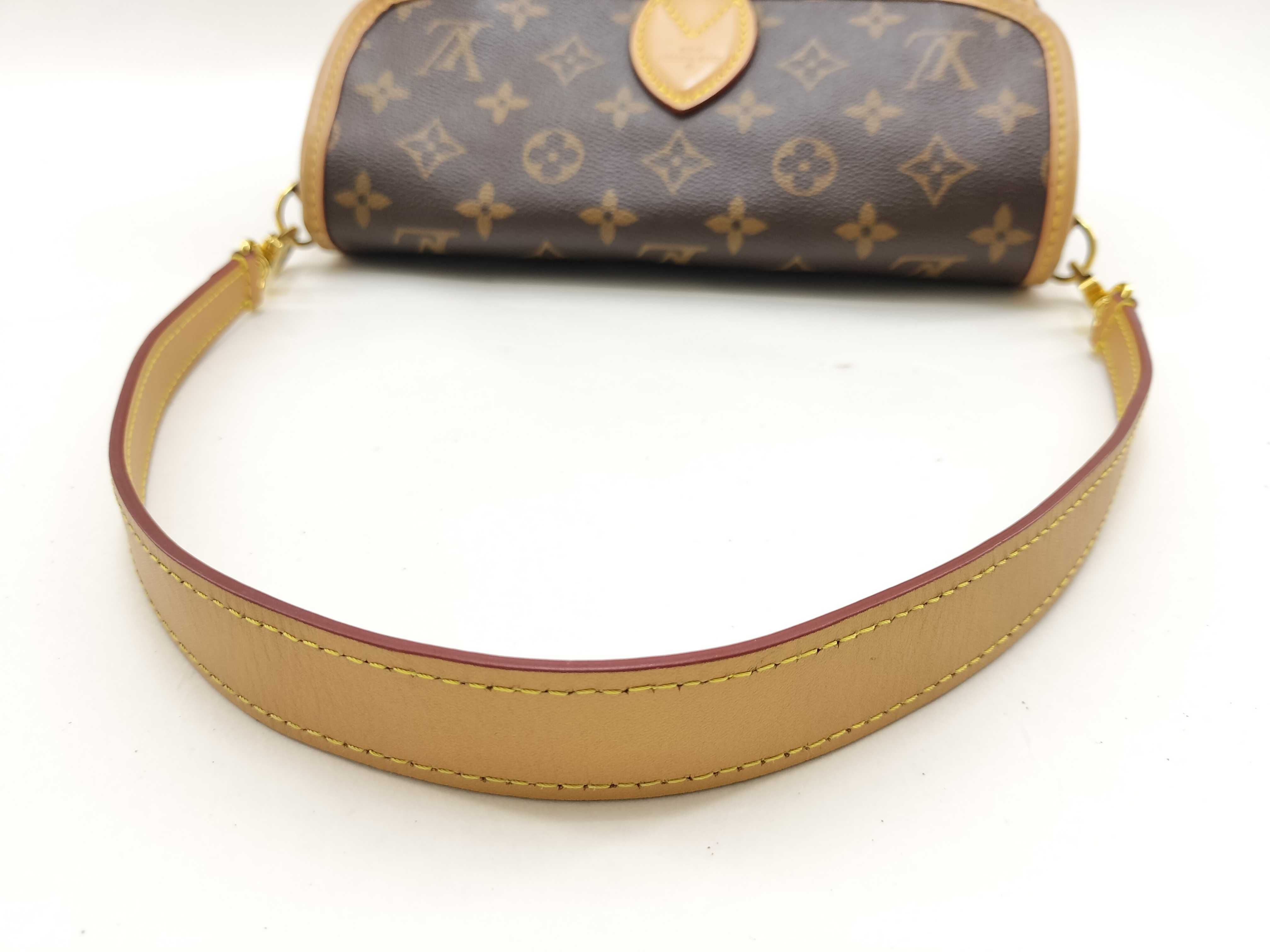 Monogram Louis Vuitton Monogram Diane NM PM M45985 Bag — view 9