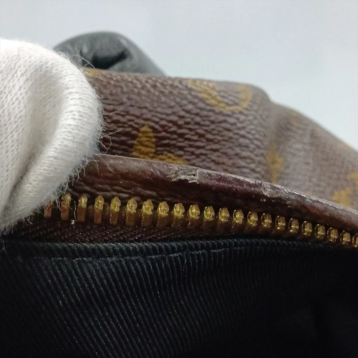 Monogram Palm Springs Backpack PM M41560 FL4128 Brown — view 11