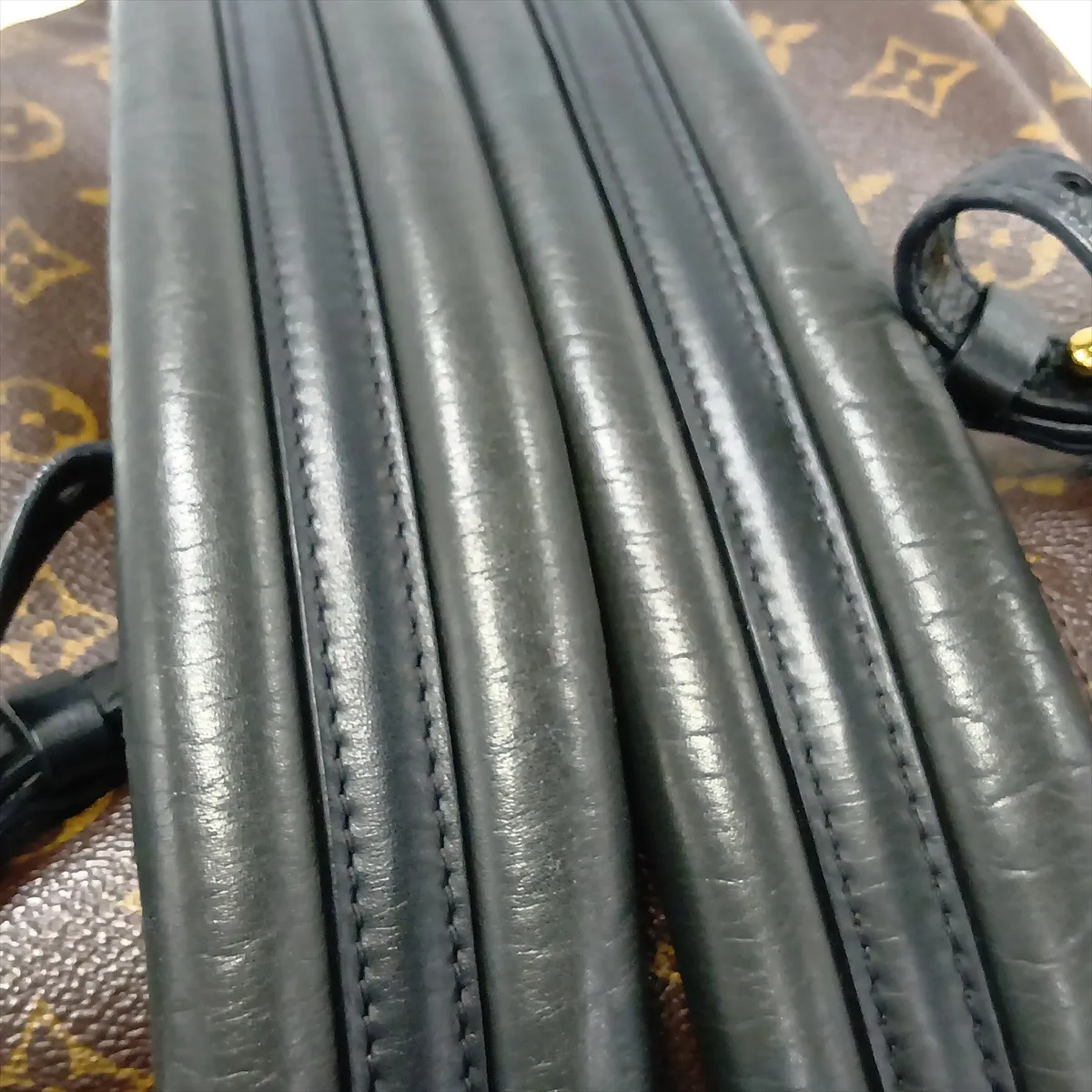 Monogram Palm Springs Backpack PM M41560 FL4128 Brown — view 14