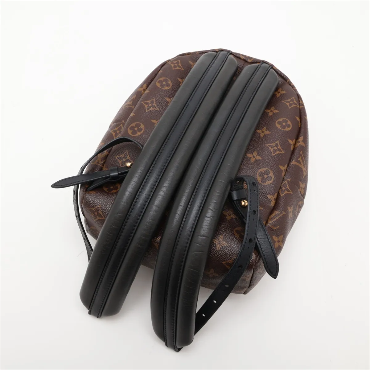 Monogram Palm Springs Backpack PM M41560 FL4128 Brown — view 5